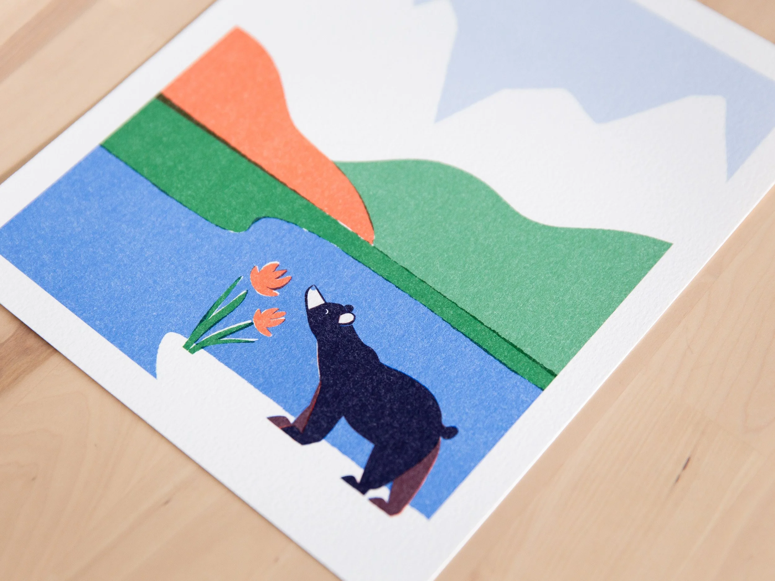 Bear-2.jpg