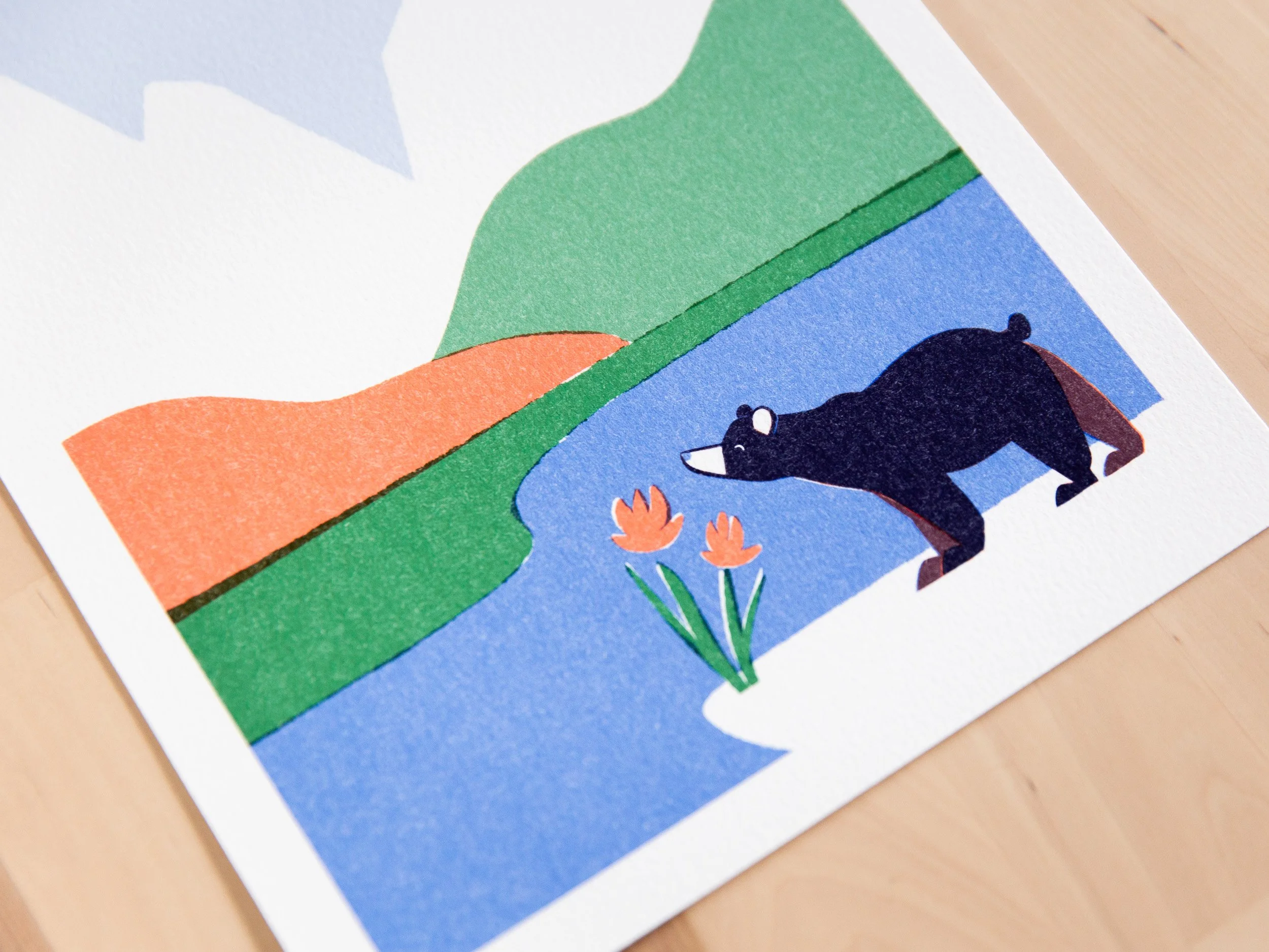 Bear-1.jpg