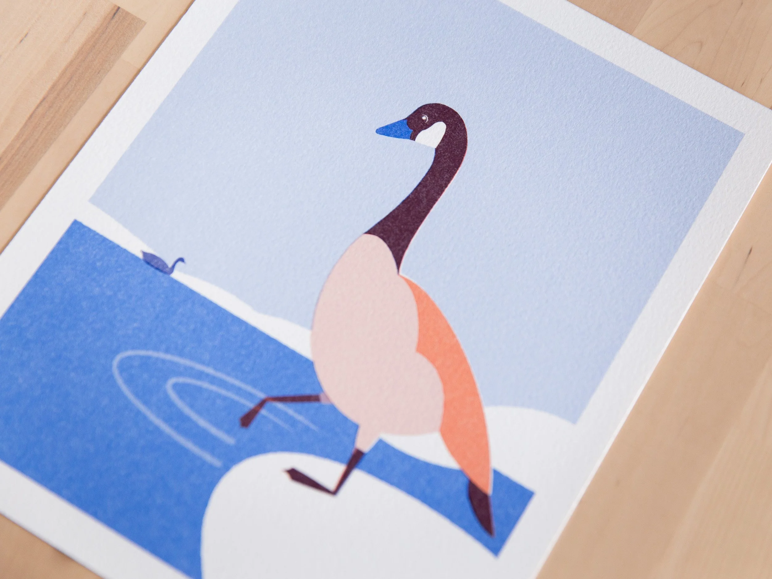 Goose-3.jpg