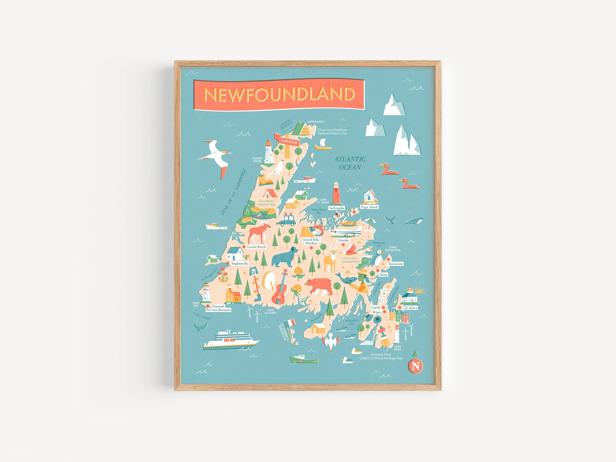 NFLD-Frame-Teal.jpg
