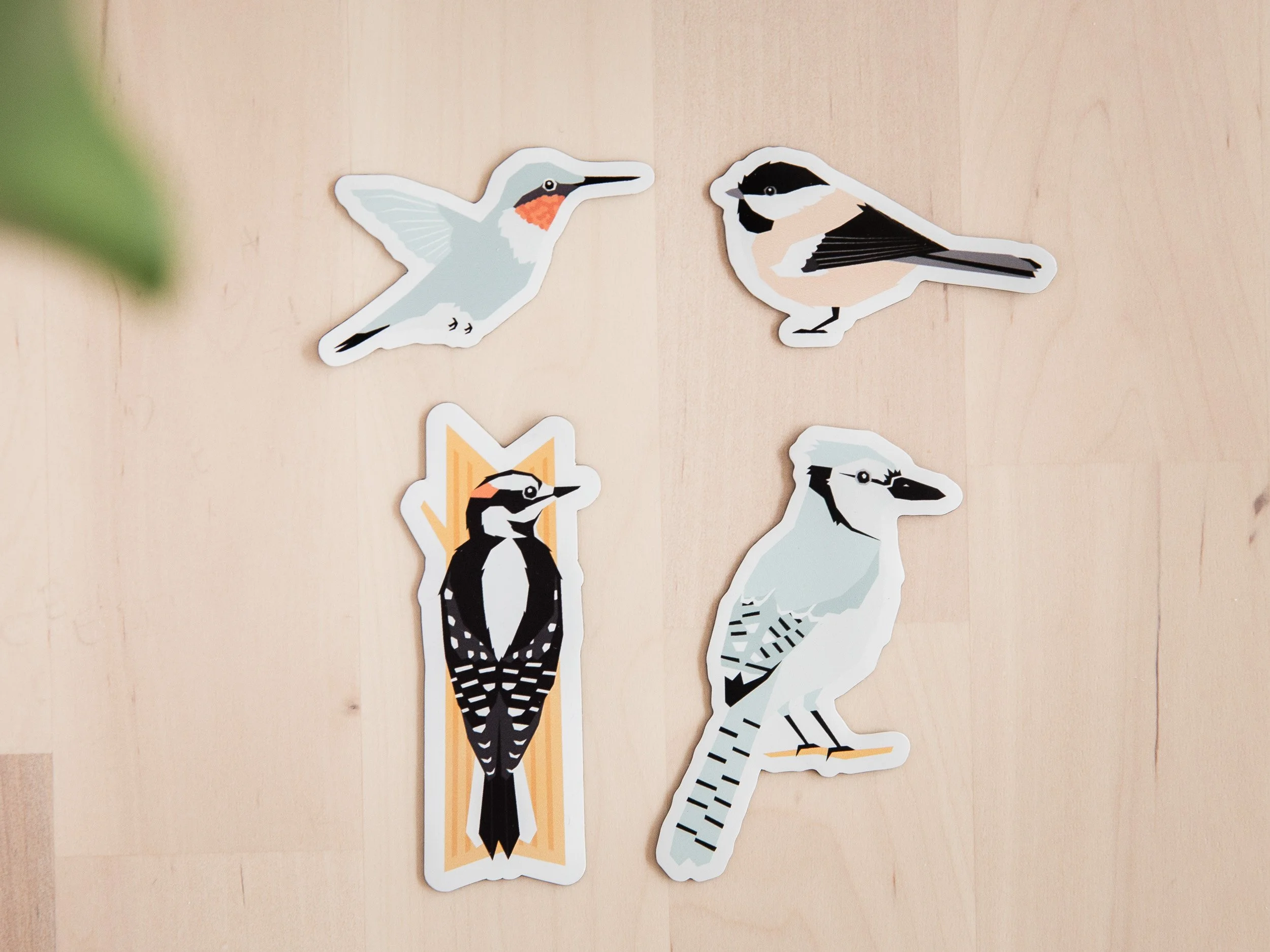 Magnet-Pack-Details-6.jpg
