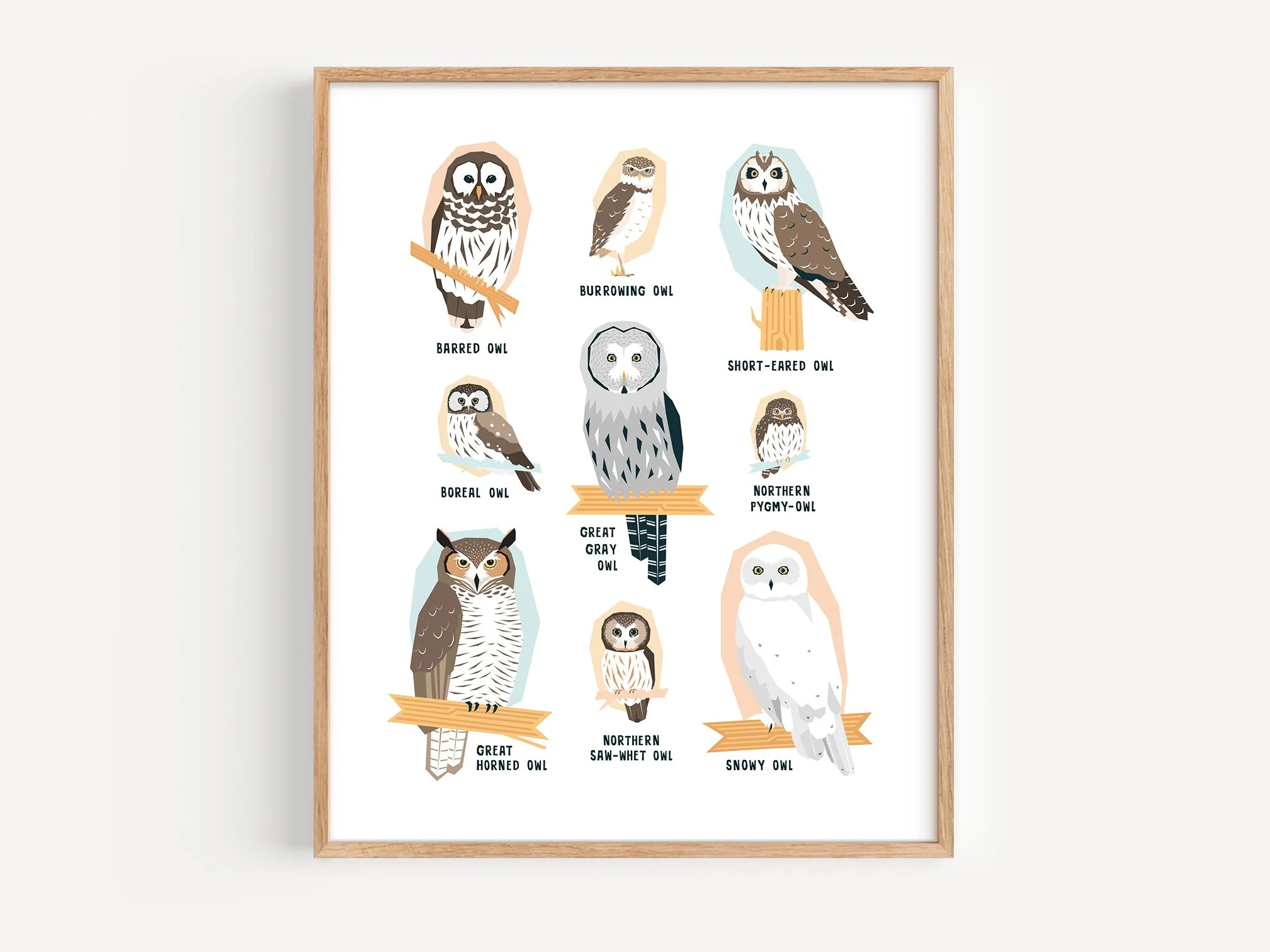 Owl-Frame-Crop.jpg