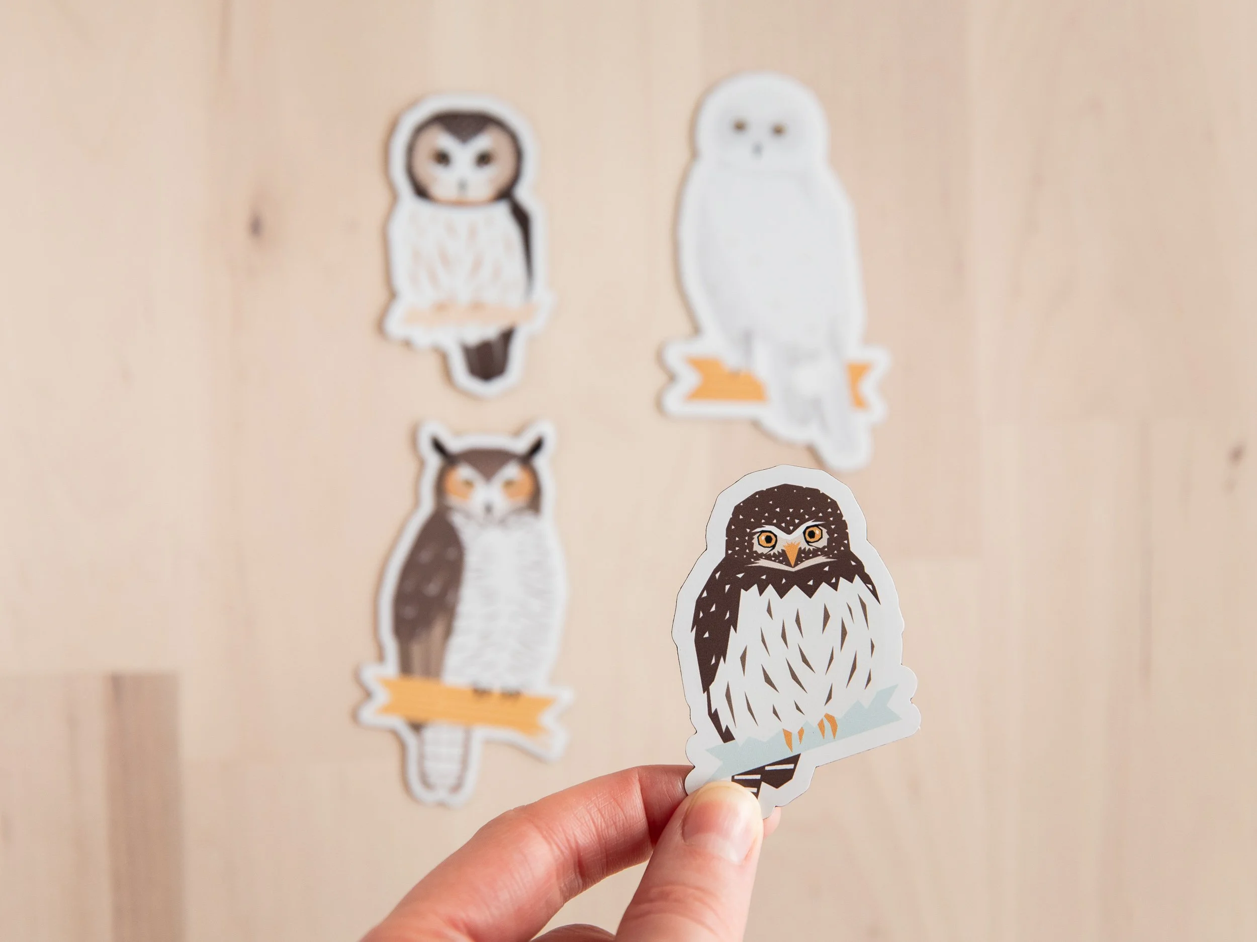 Magnet-Pack-Details-2.jpg