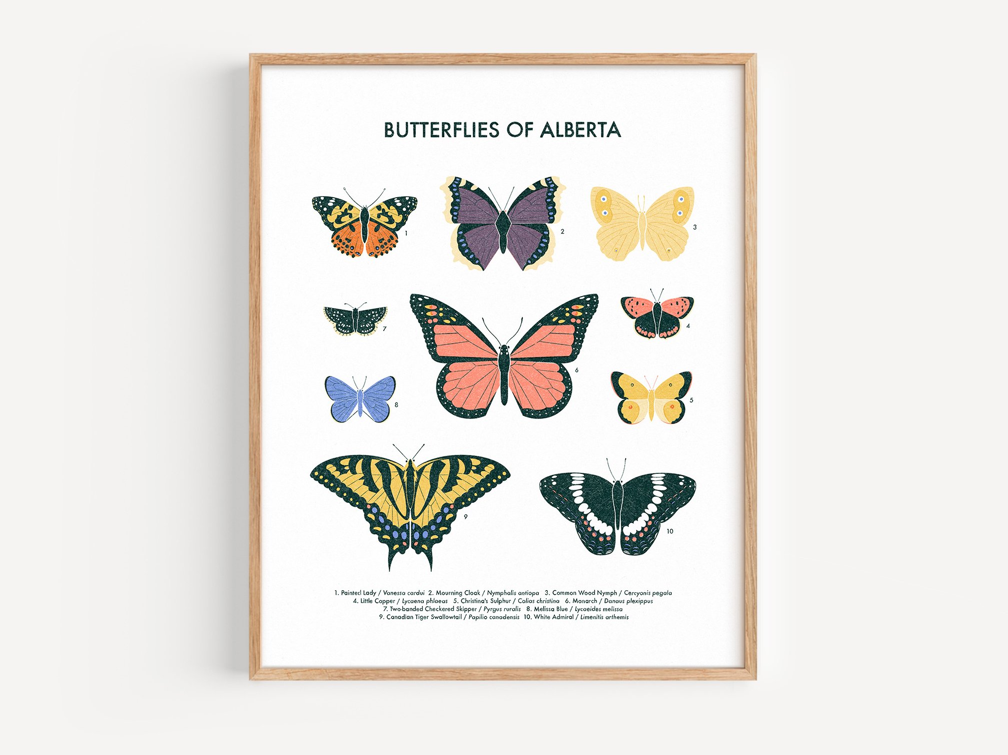 Butterflies of Alberta | Print