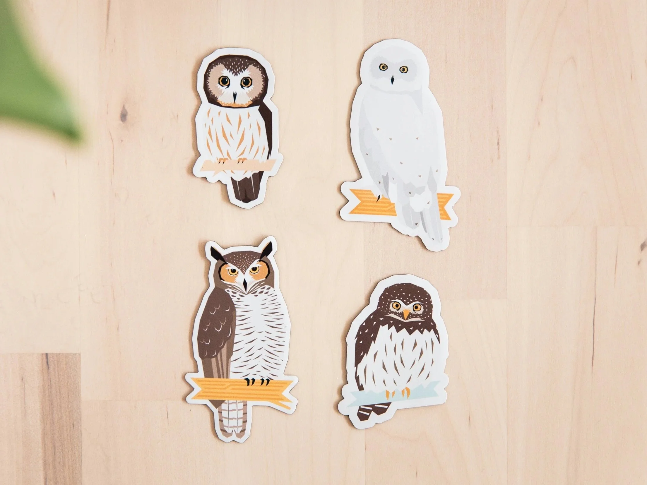 Owl-Packs-1.jpg