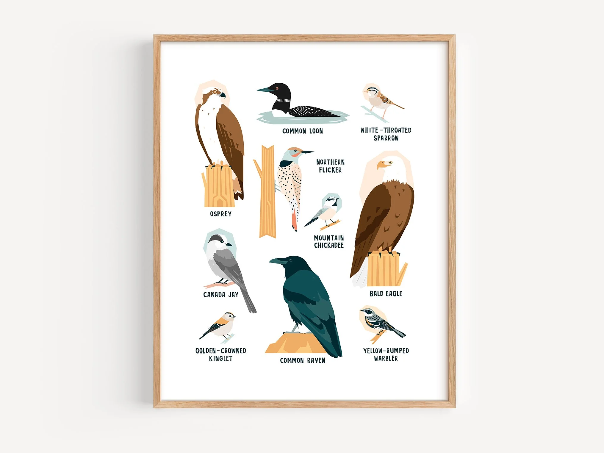 Birds-3-Frame-Crop.jpg
