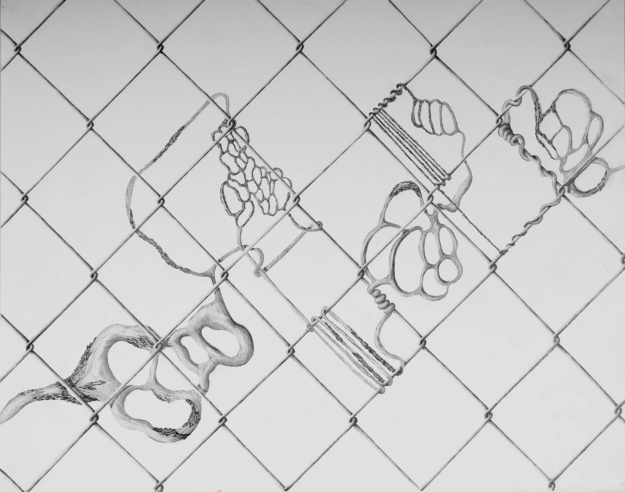 Fence 2
