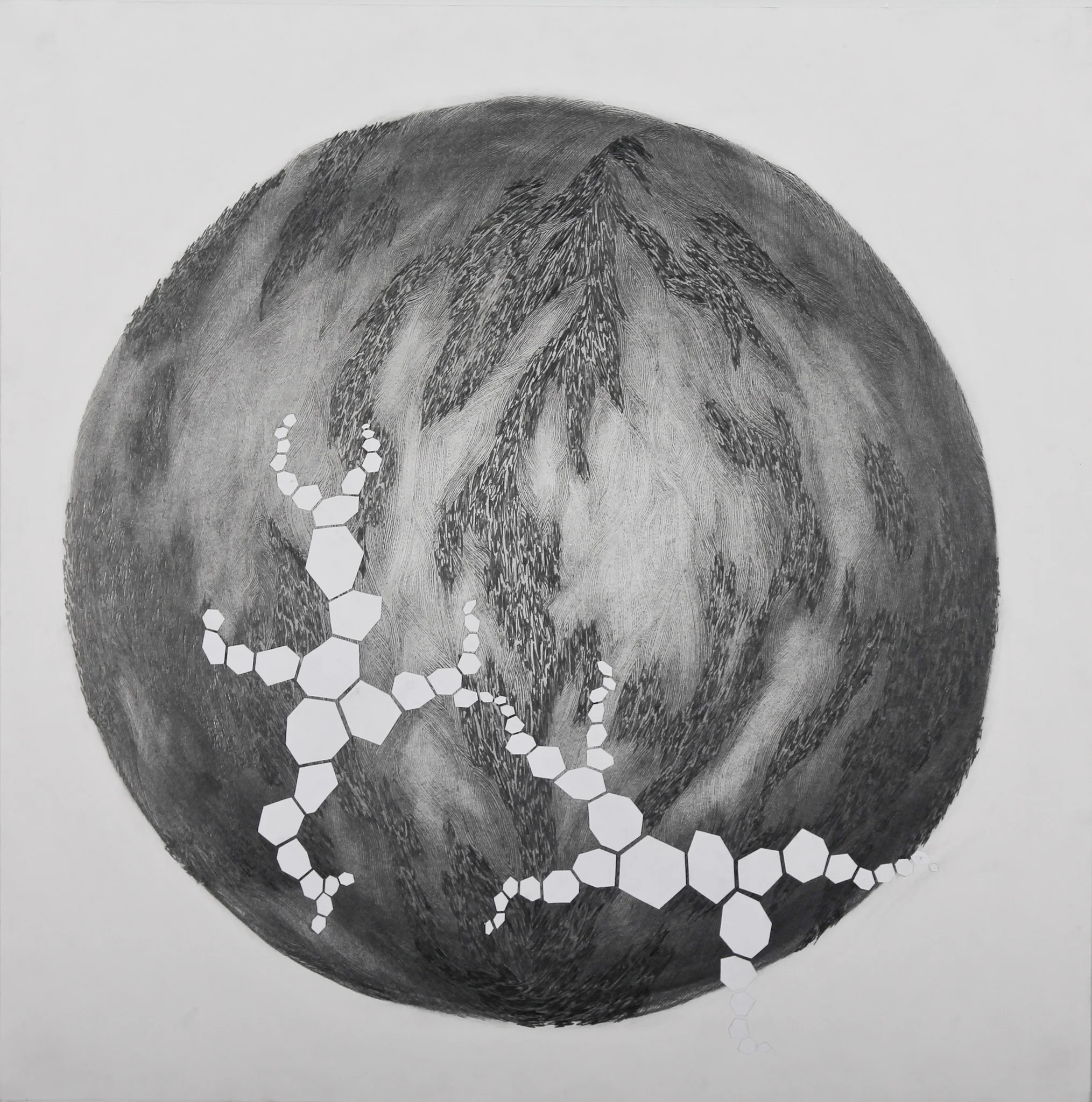 Orb