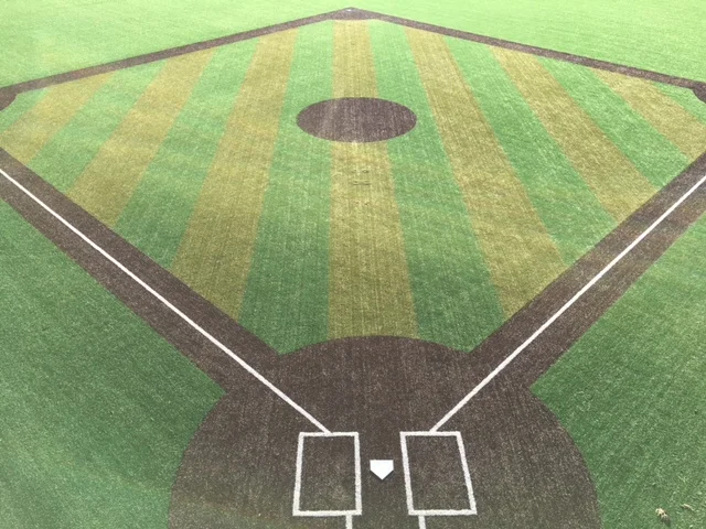 Baseball Infield.jpg