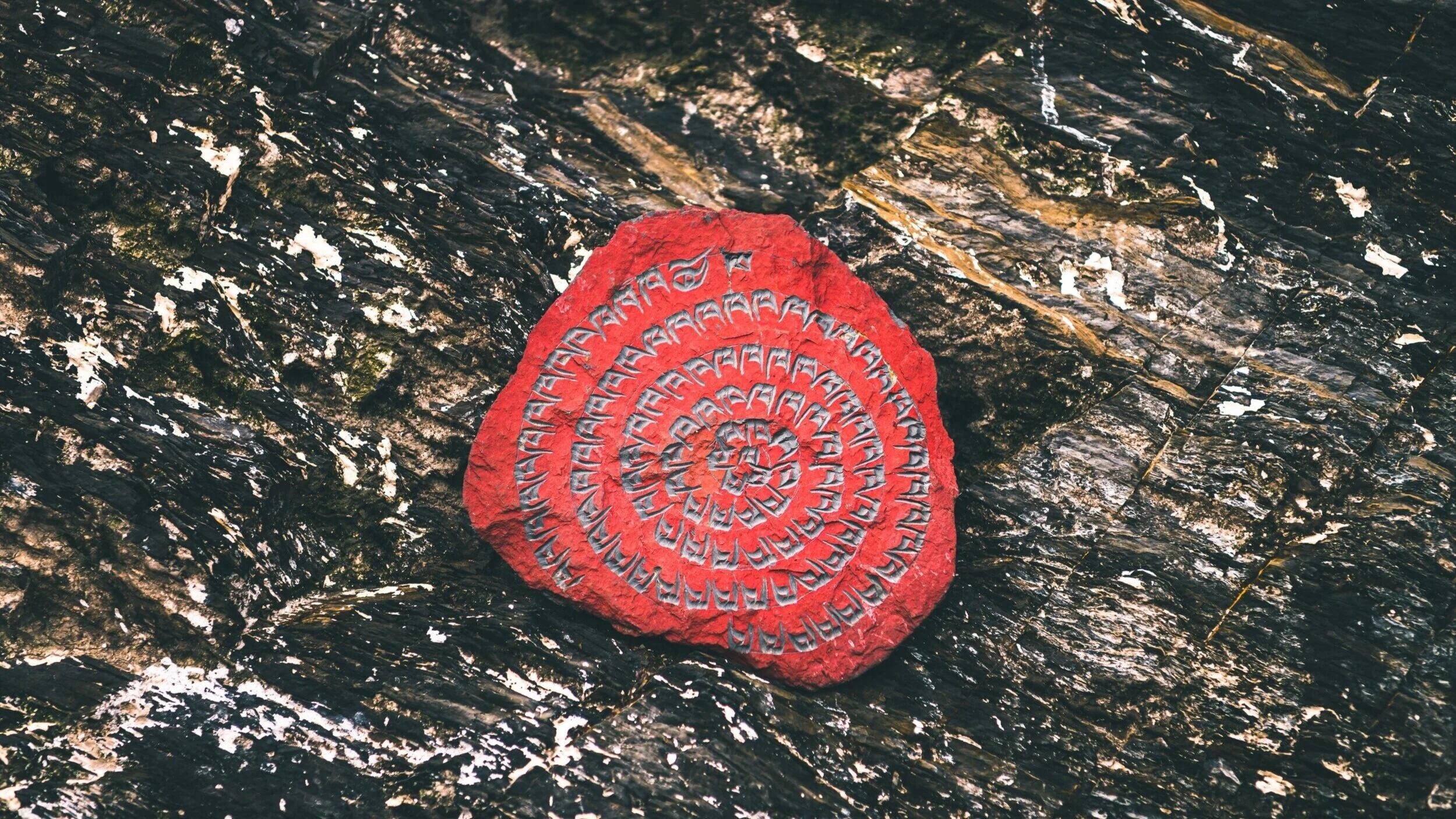 dong-xie-M0AgzP0zwG0-unsplash.jpg