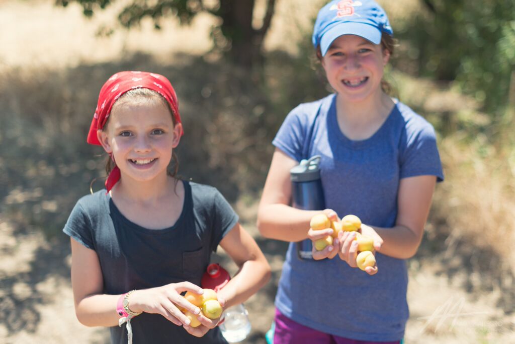 S1D4 2015 girls apricots.jpg