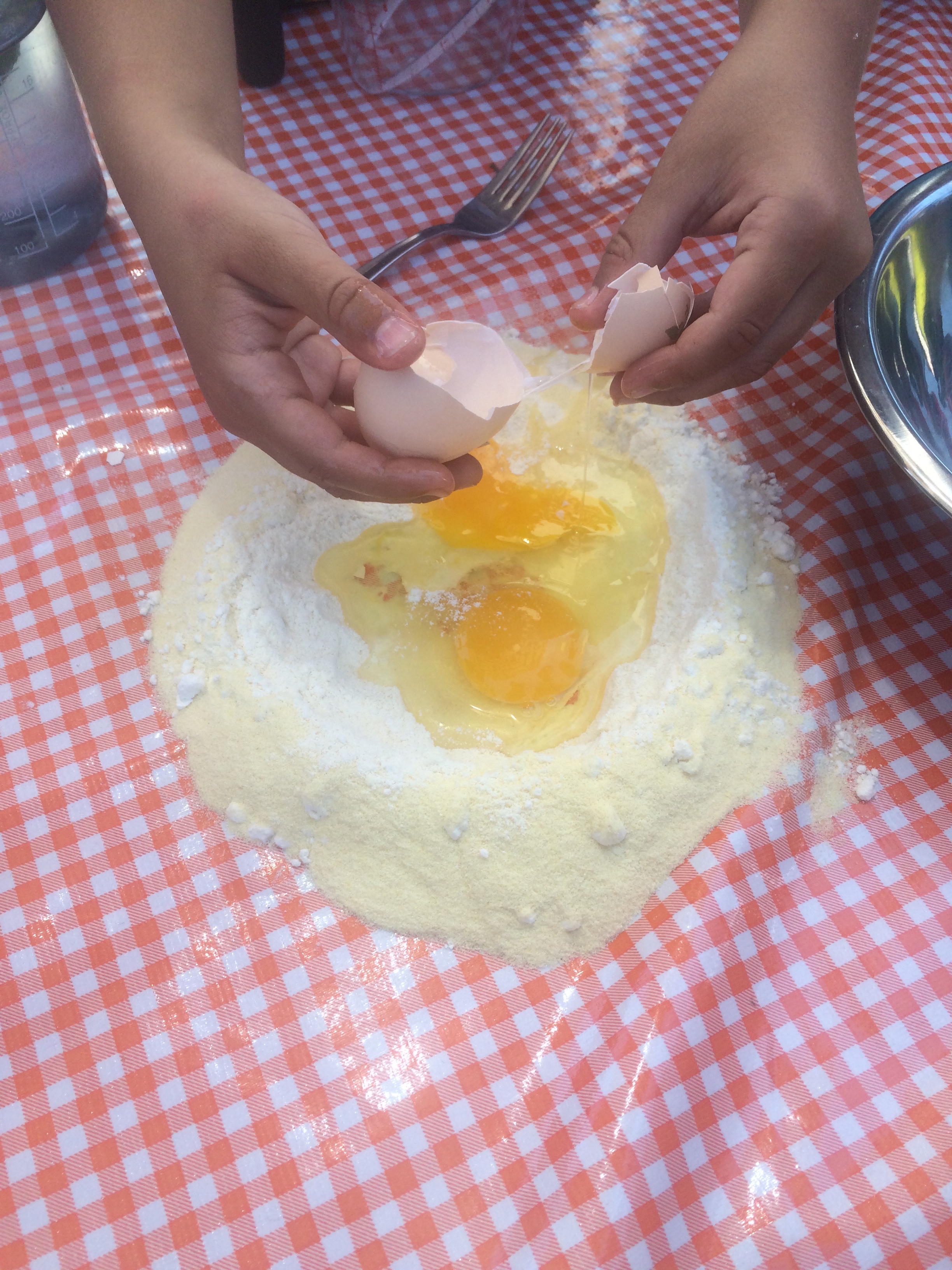 S3D1 2015 egg well.jpg