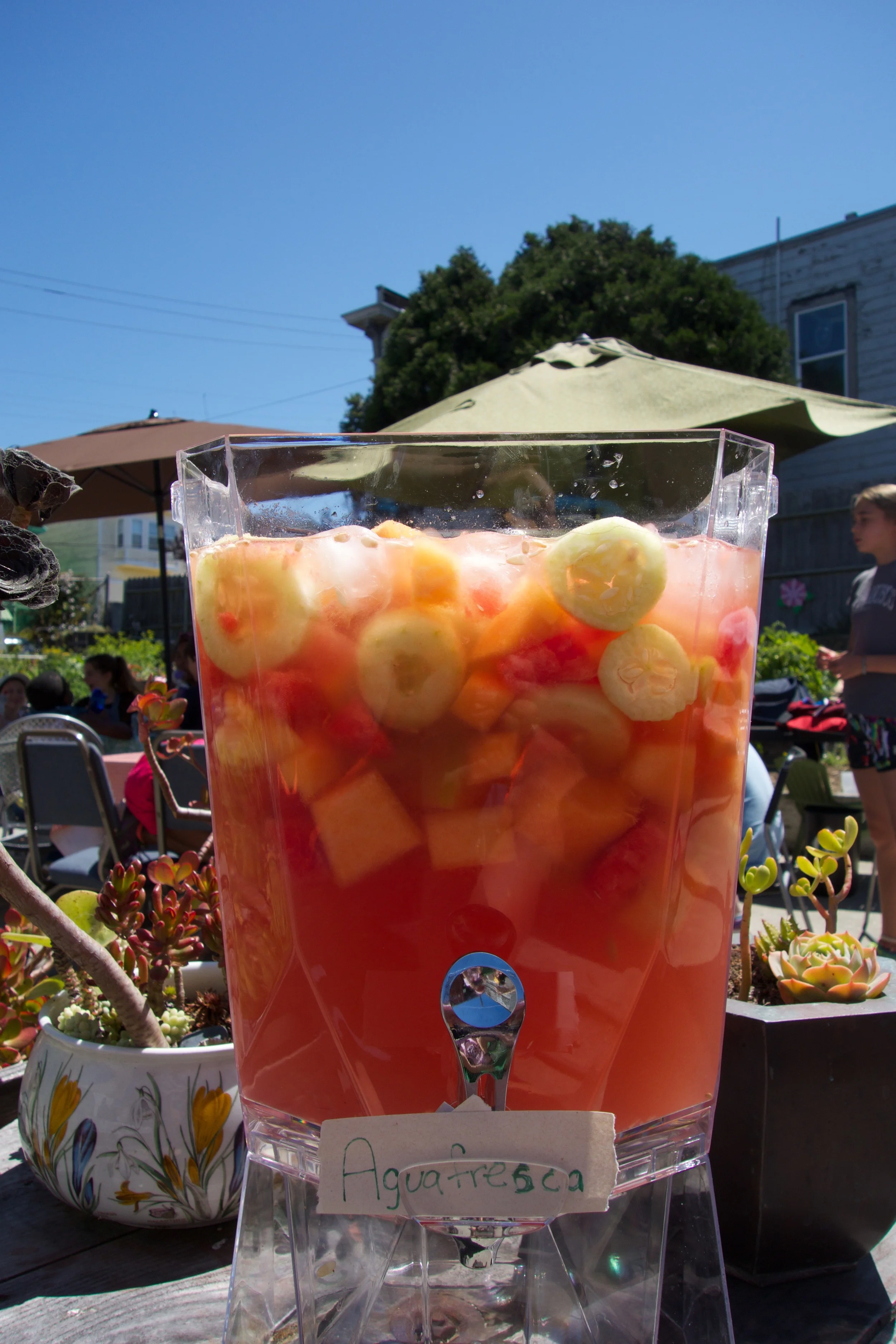 S4D3 2015 aqua fresca.jpg