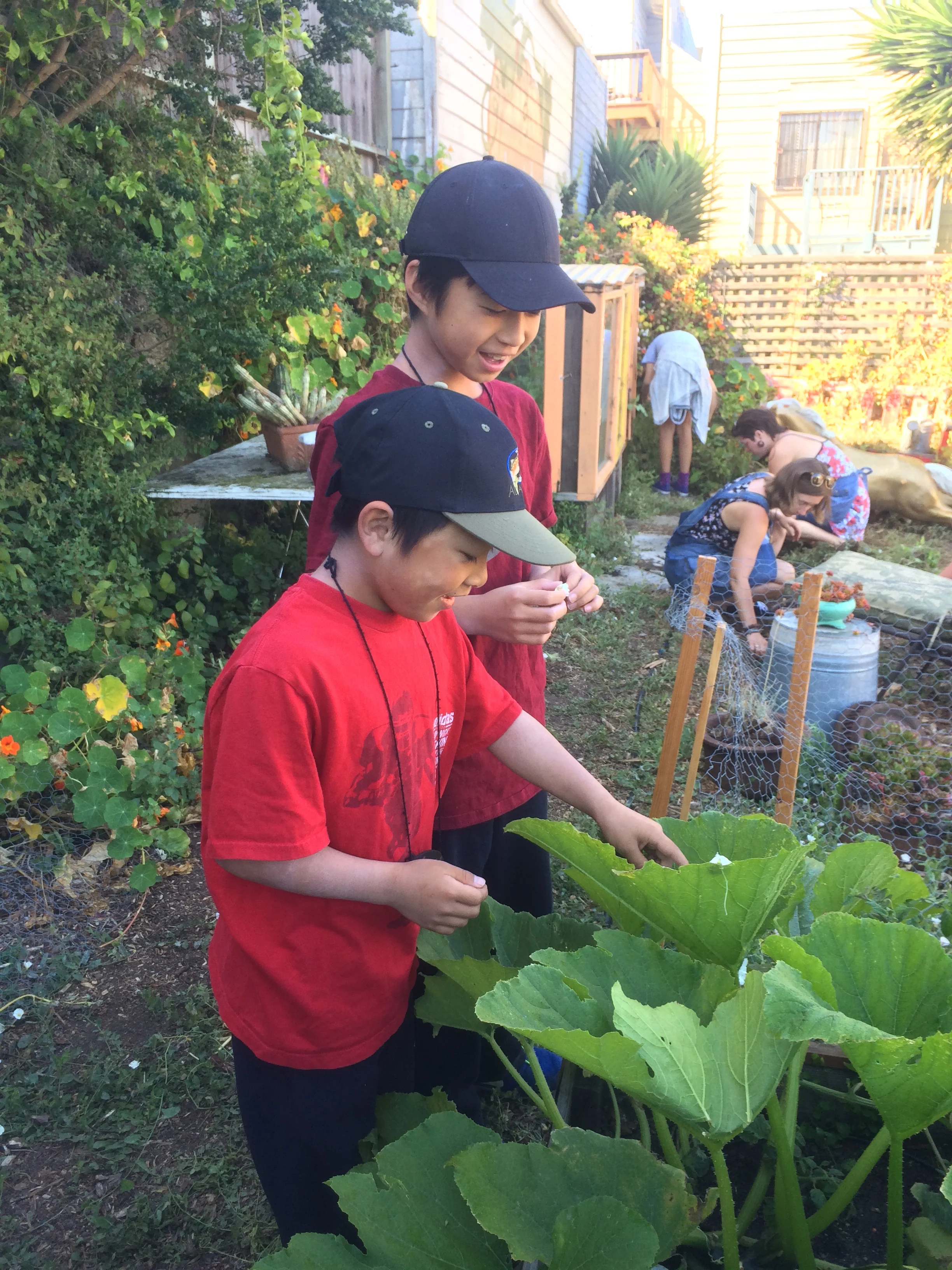 S4D3 2015 grant & garrett garden.jpg