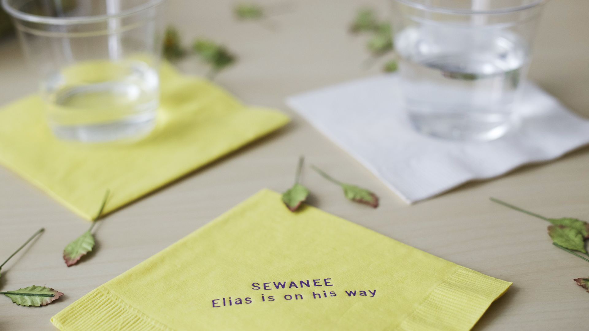 napkins5.jpg