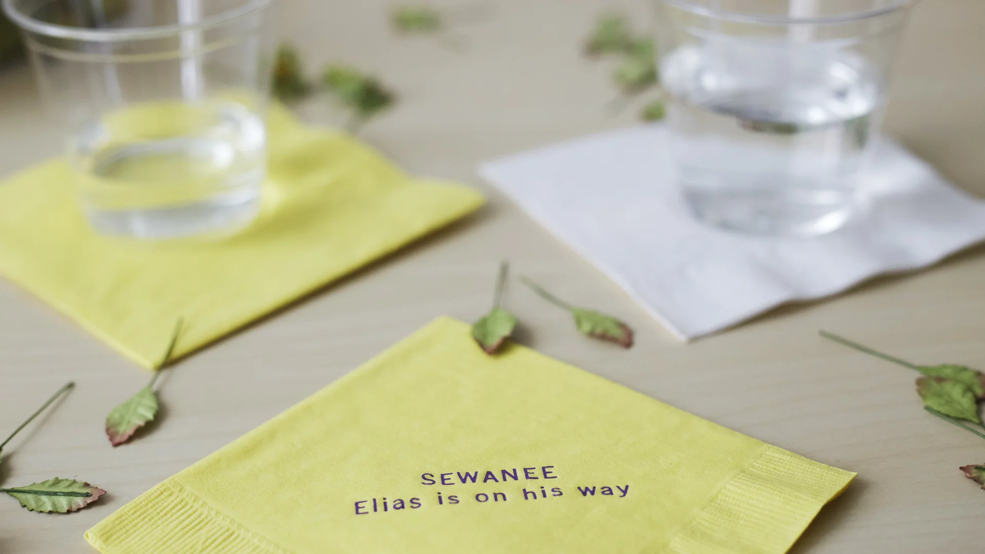 napkins5.jpg