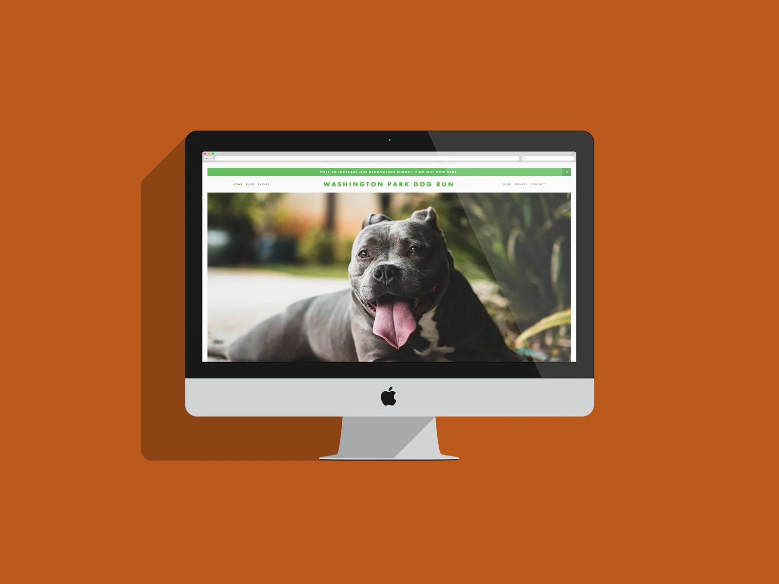 Washington Park Dog Run