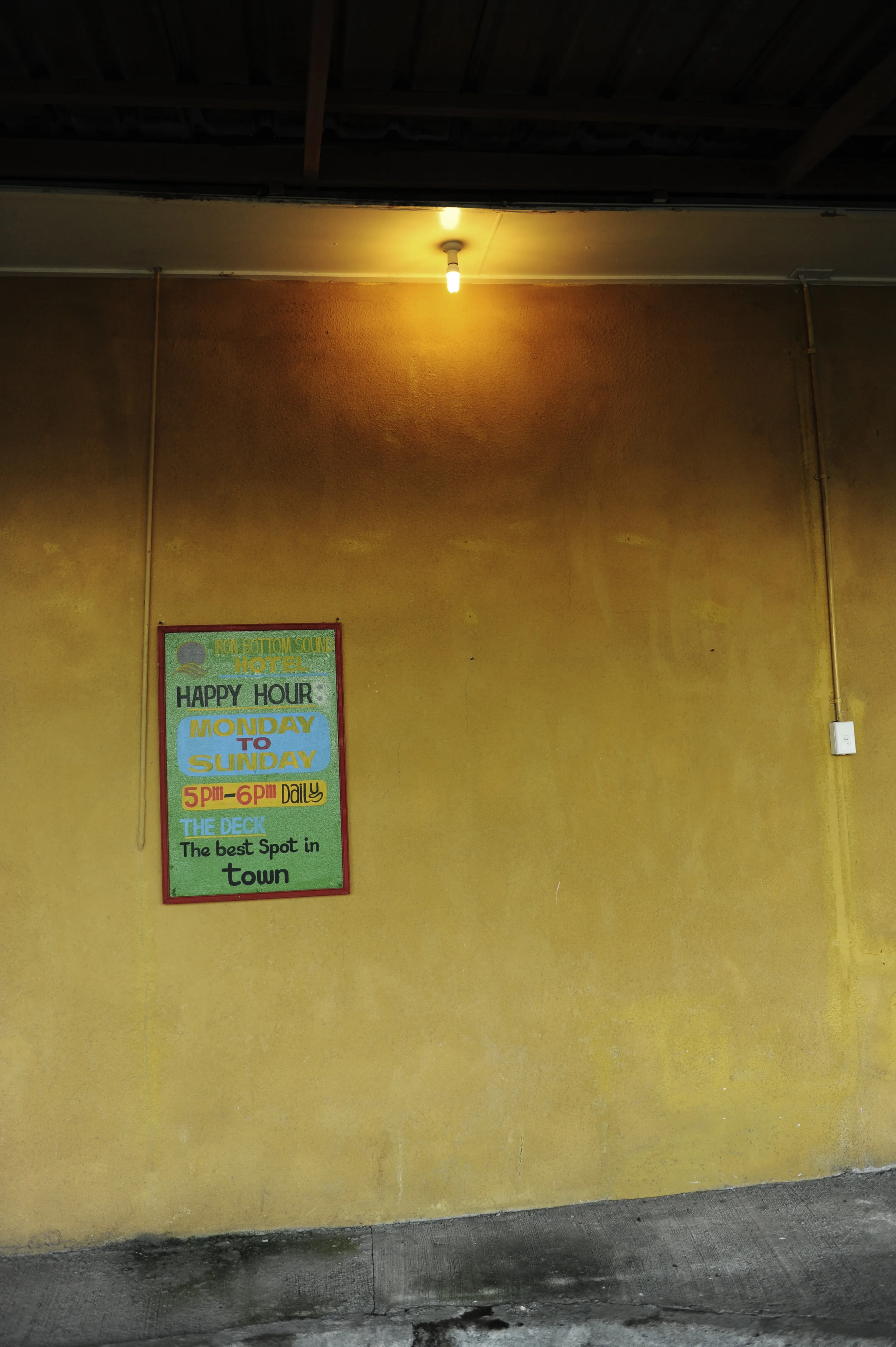 DSC_9856color.jpg