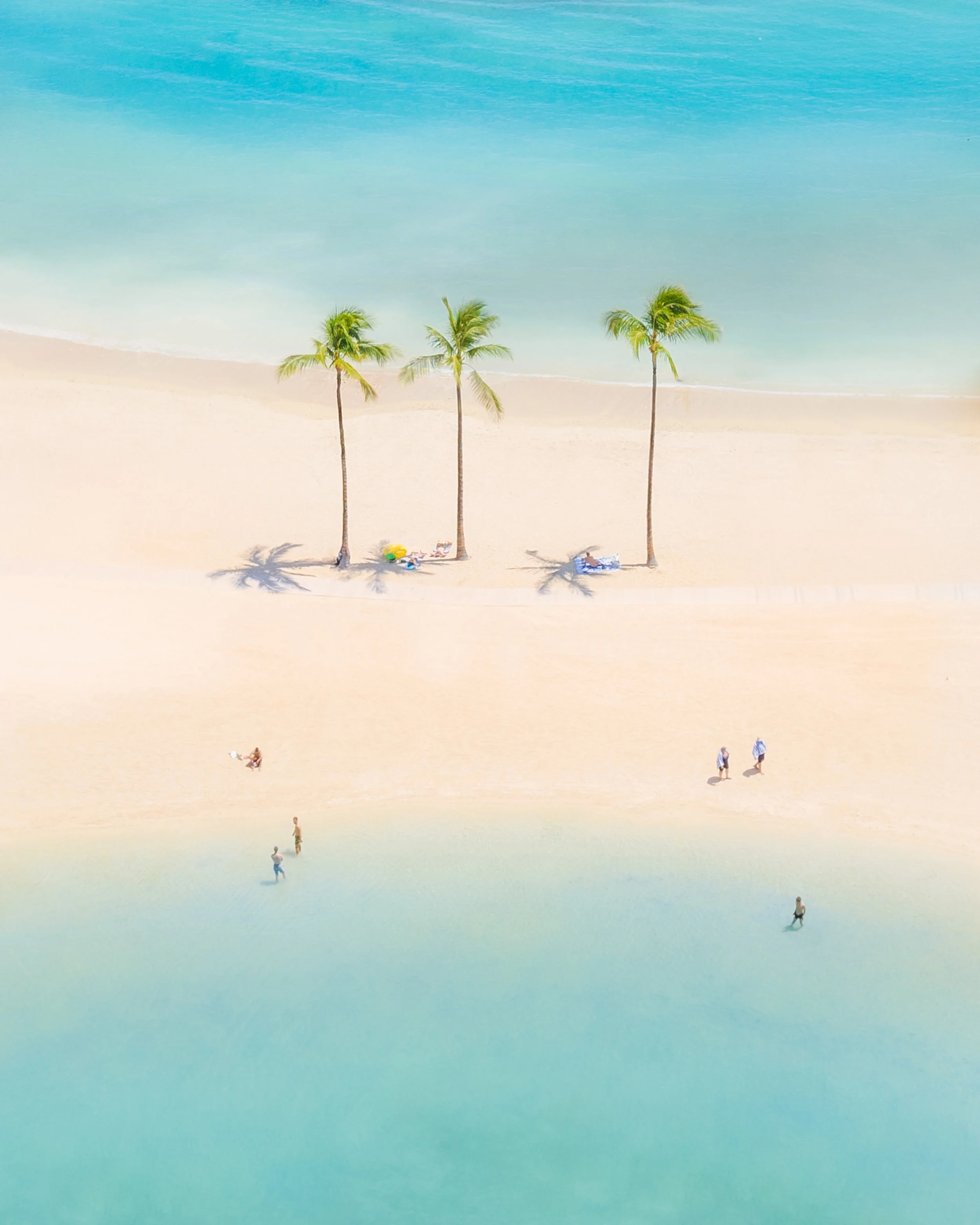 Dreamland