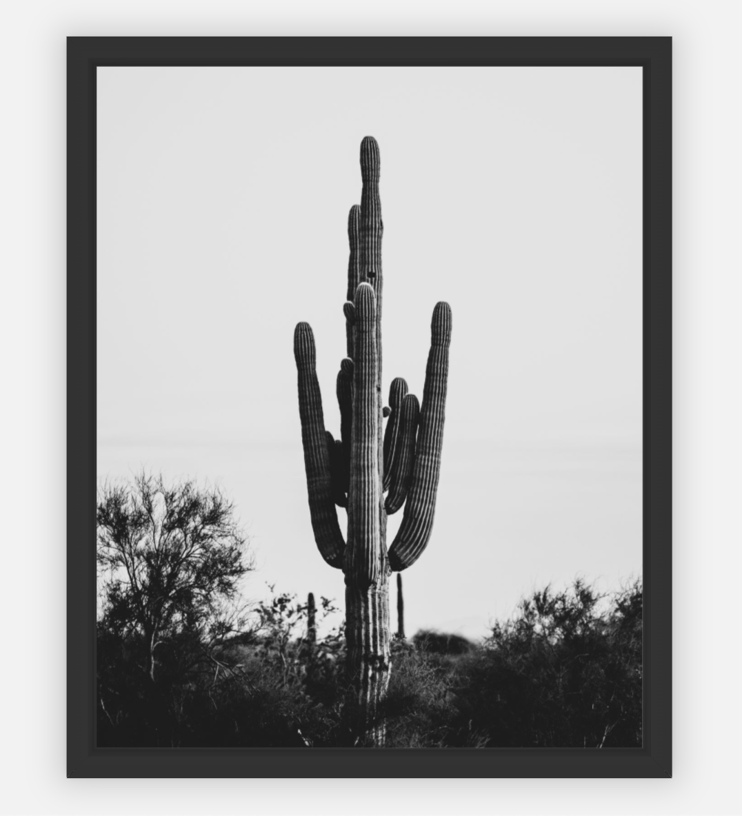 Screen Shot 2022-03-01 at 10.59.02 AM.png