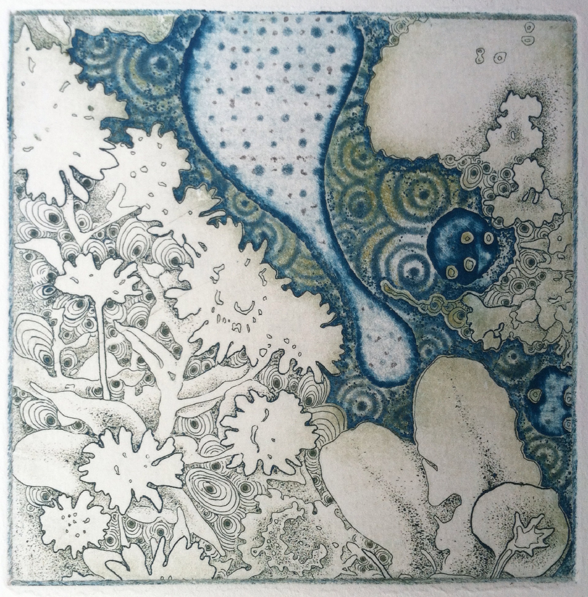 Joshua butler, Liminal: Of Daisies and the Quantum Field, 4"X4" Intaglio