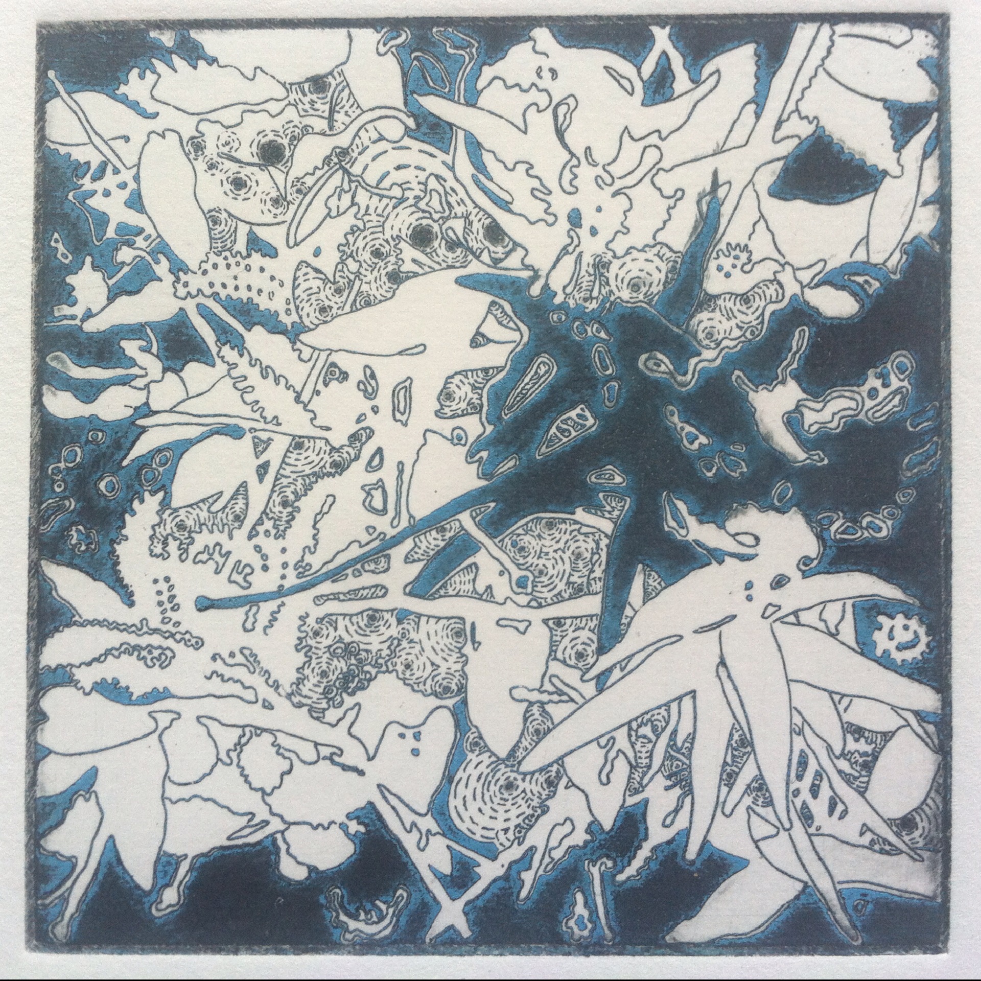 Joshua Butler, Liminal Columbine, 4"X4" Intaglio