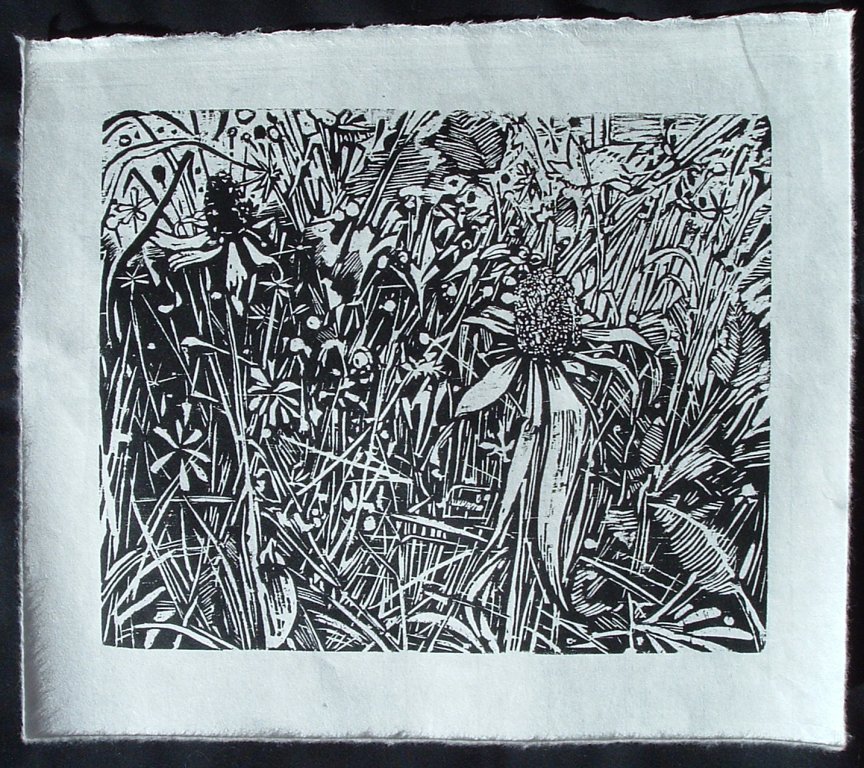 2 Mocrocosmos 9X12 woodcut copy 2.JPG