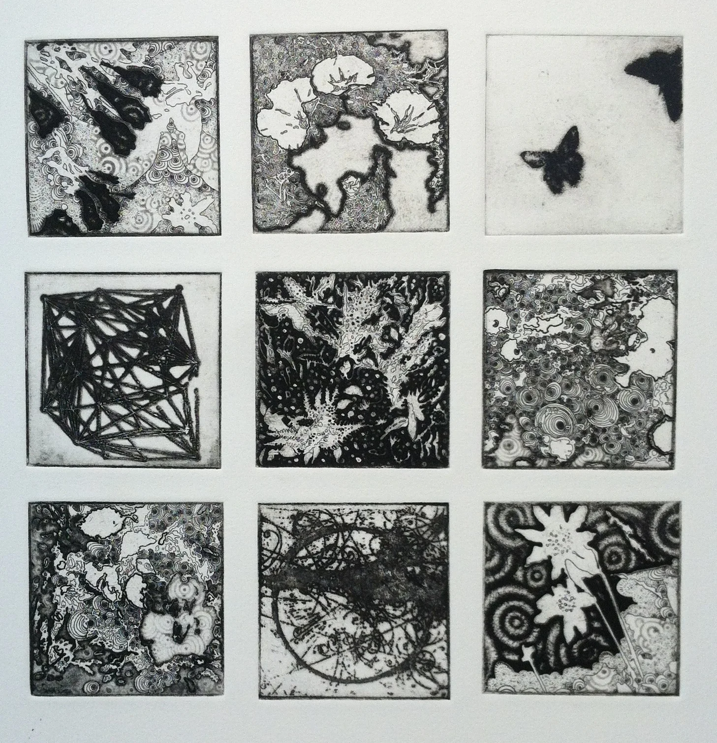 Joshua Butler, Liminal: Nine, 12"X12", Intaglio