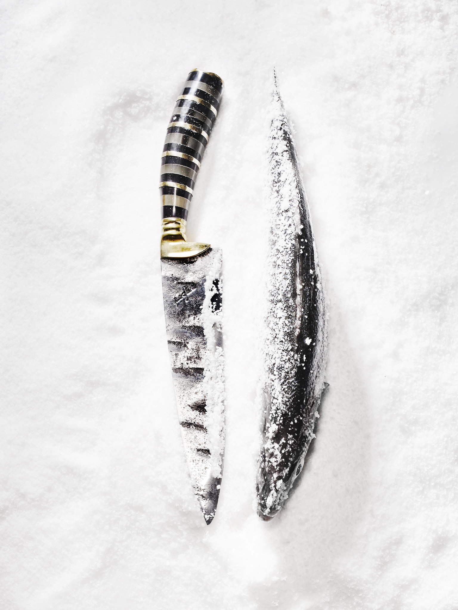 Poglia Fish Inspired Kitchen Knife