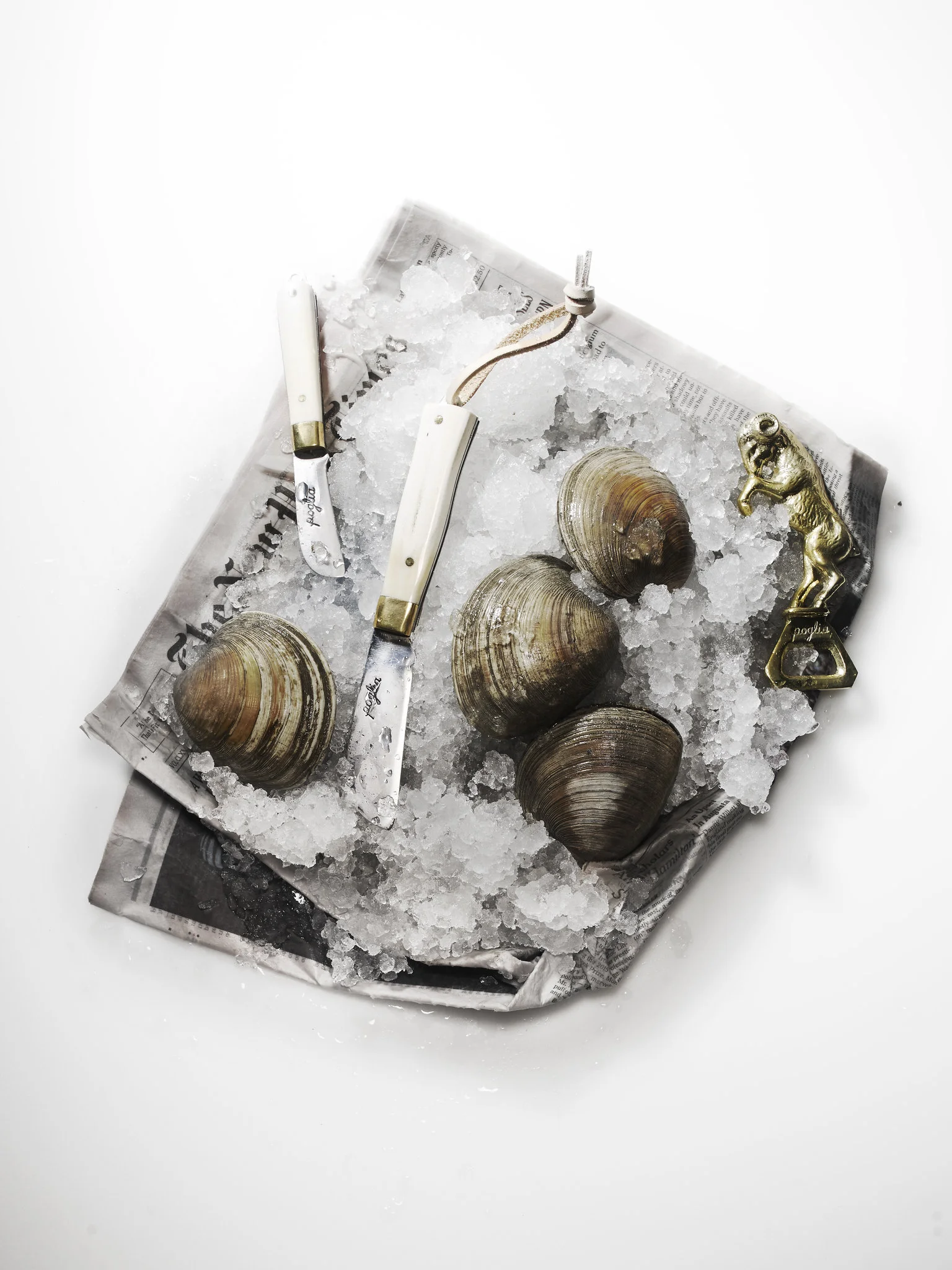 Poglia Oysters.jpg