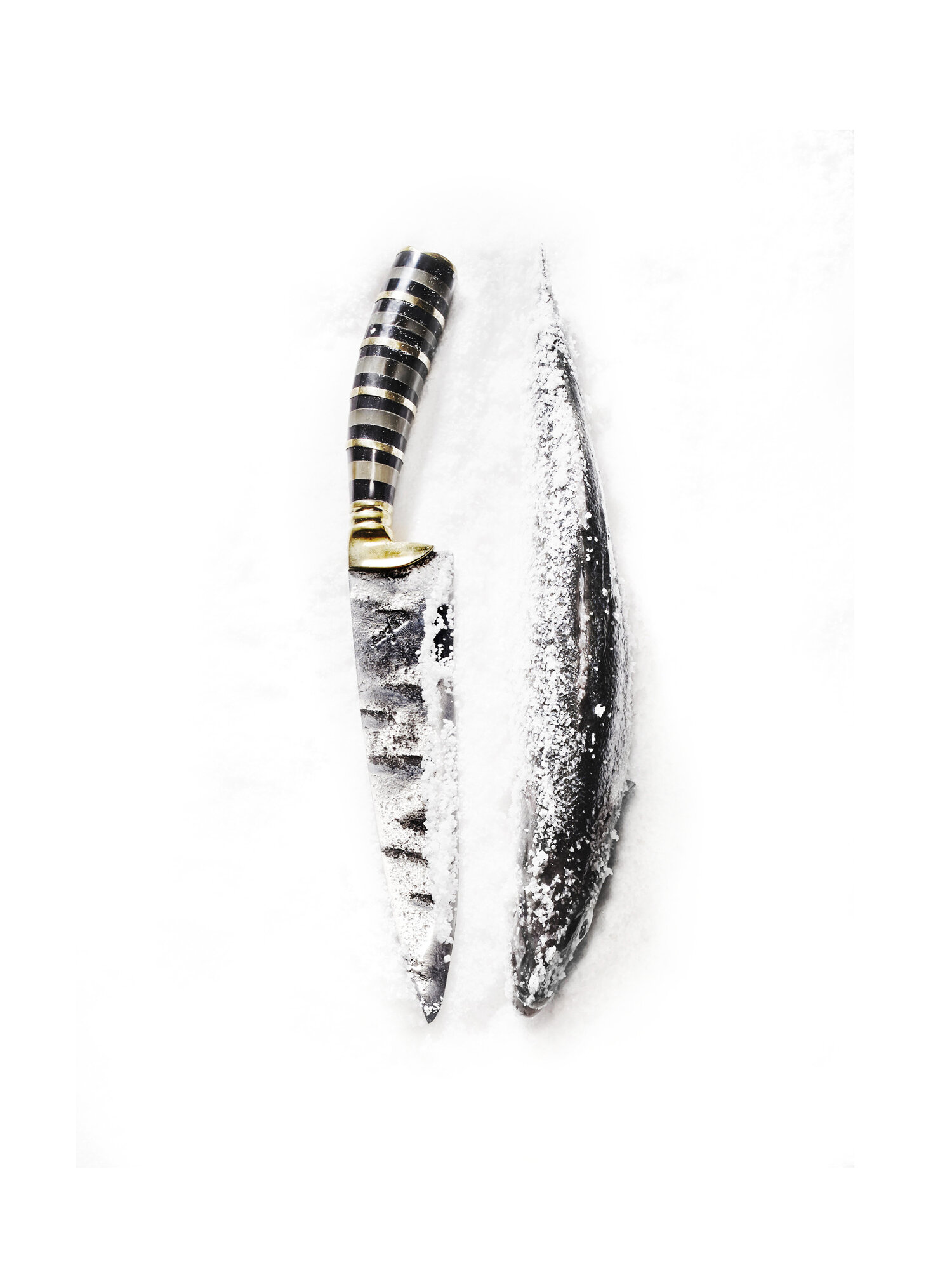 Poglia "Fish" Handle in Mixed Horn Adorned with Brass