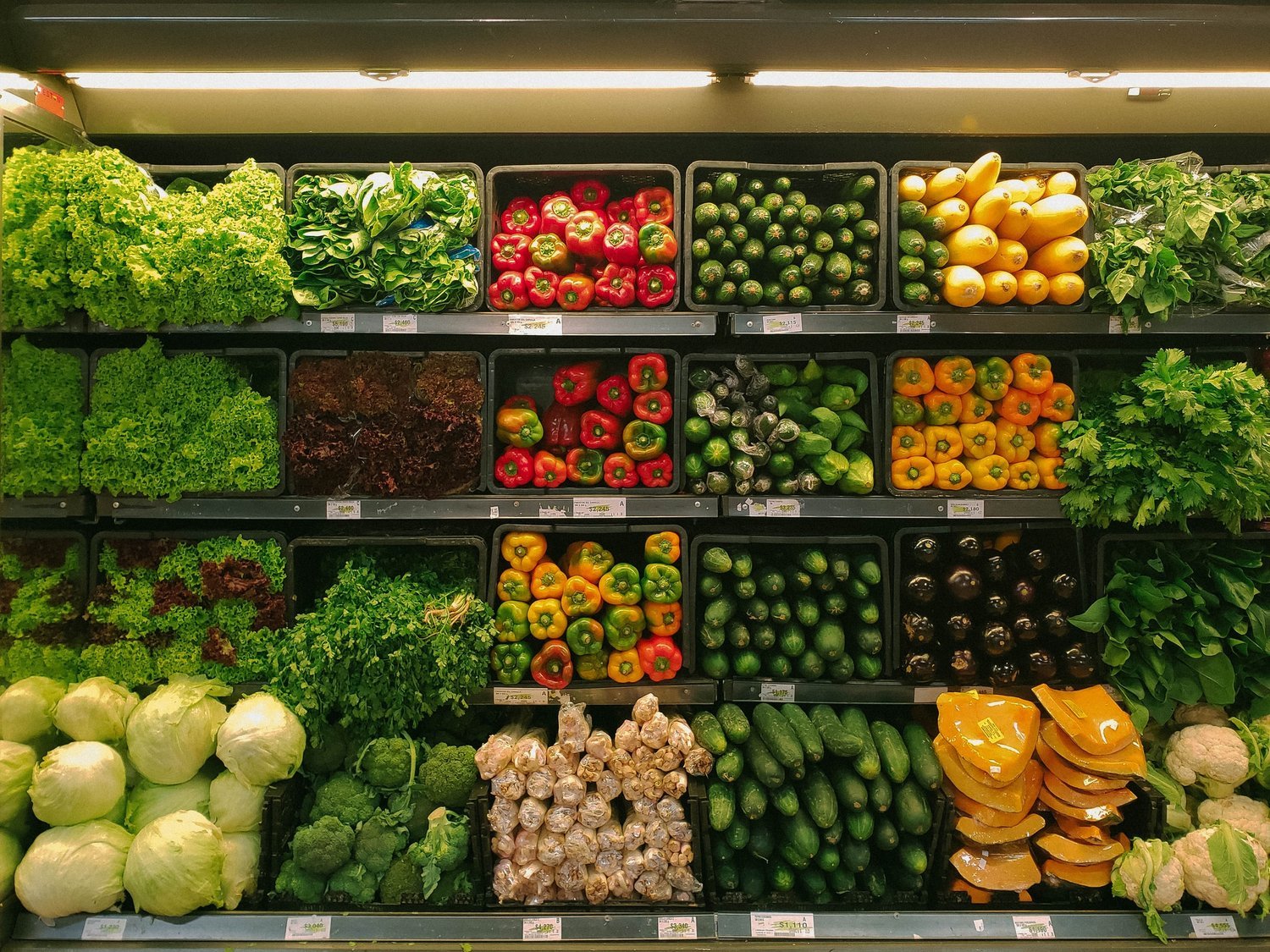 Free Groceries