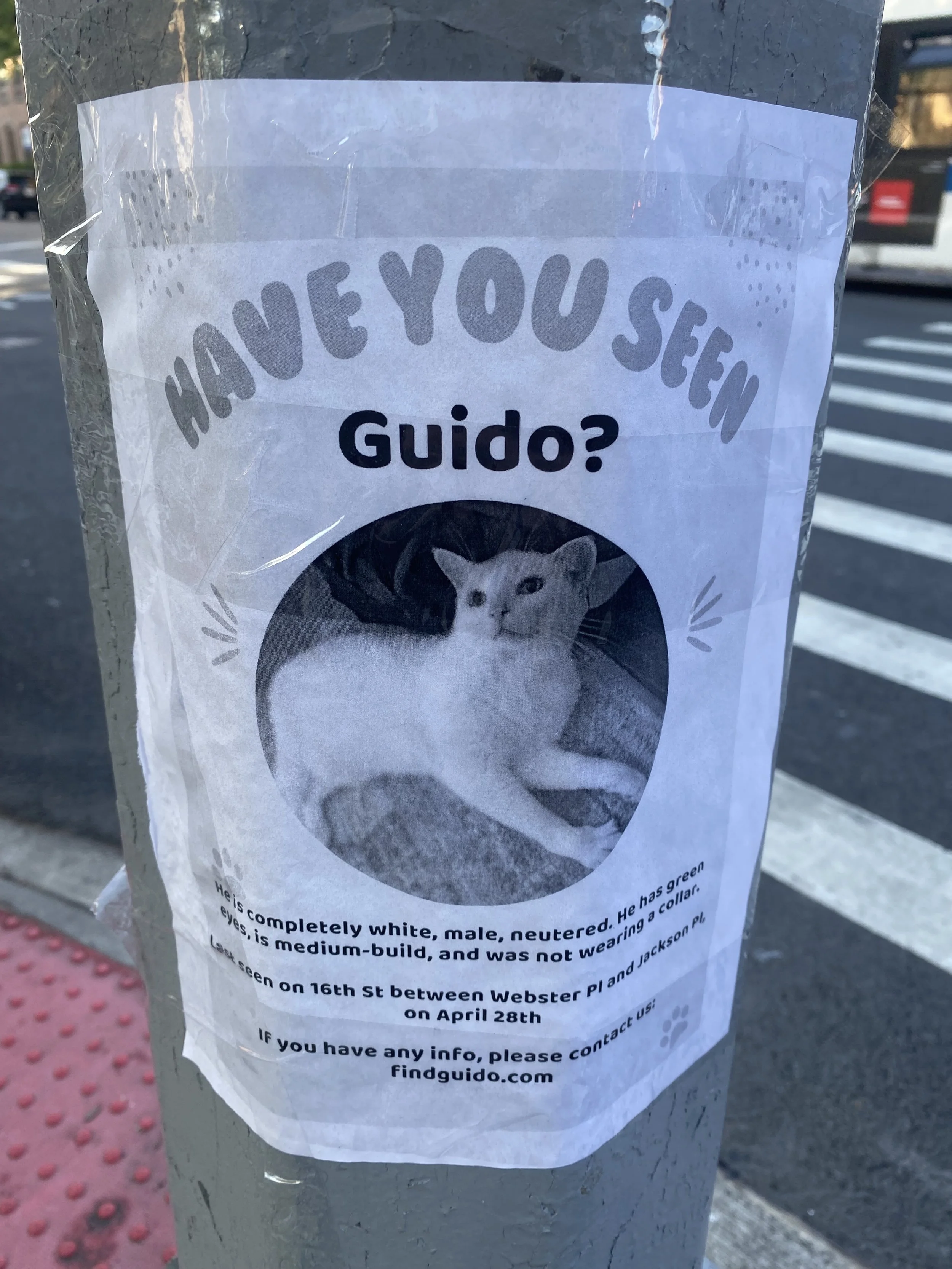 IMG_7970.jpeg