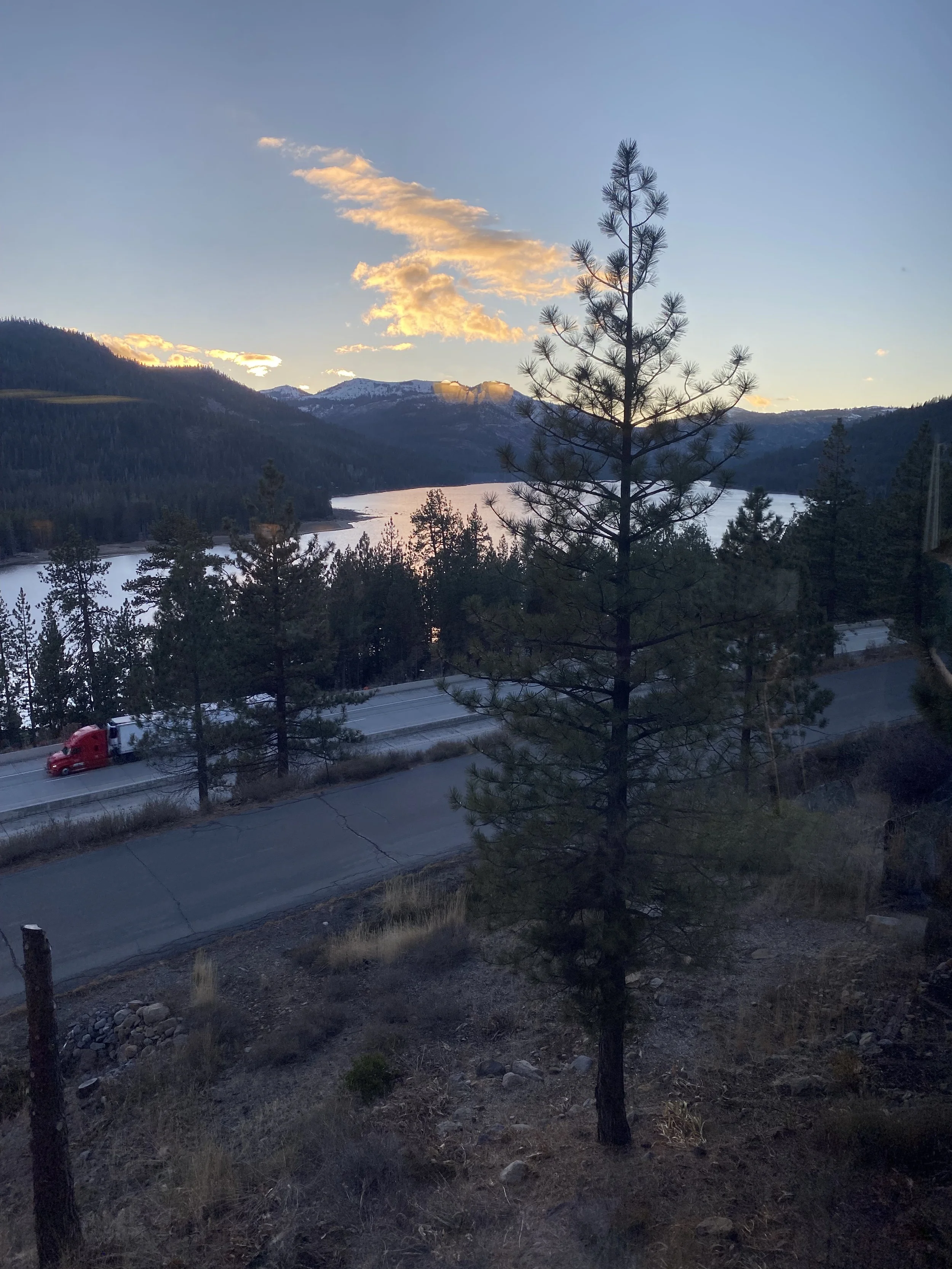 IMG_8877.jpeg