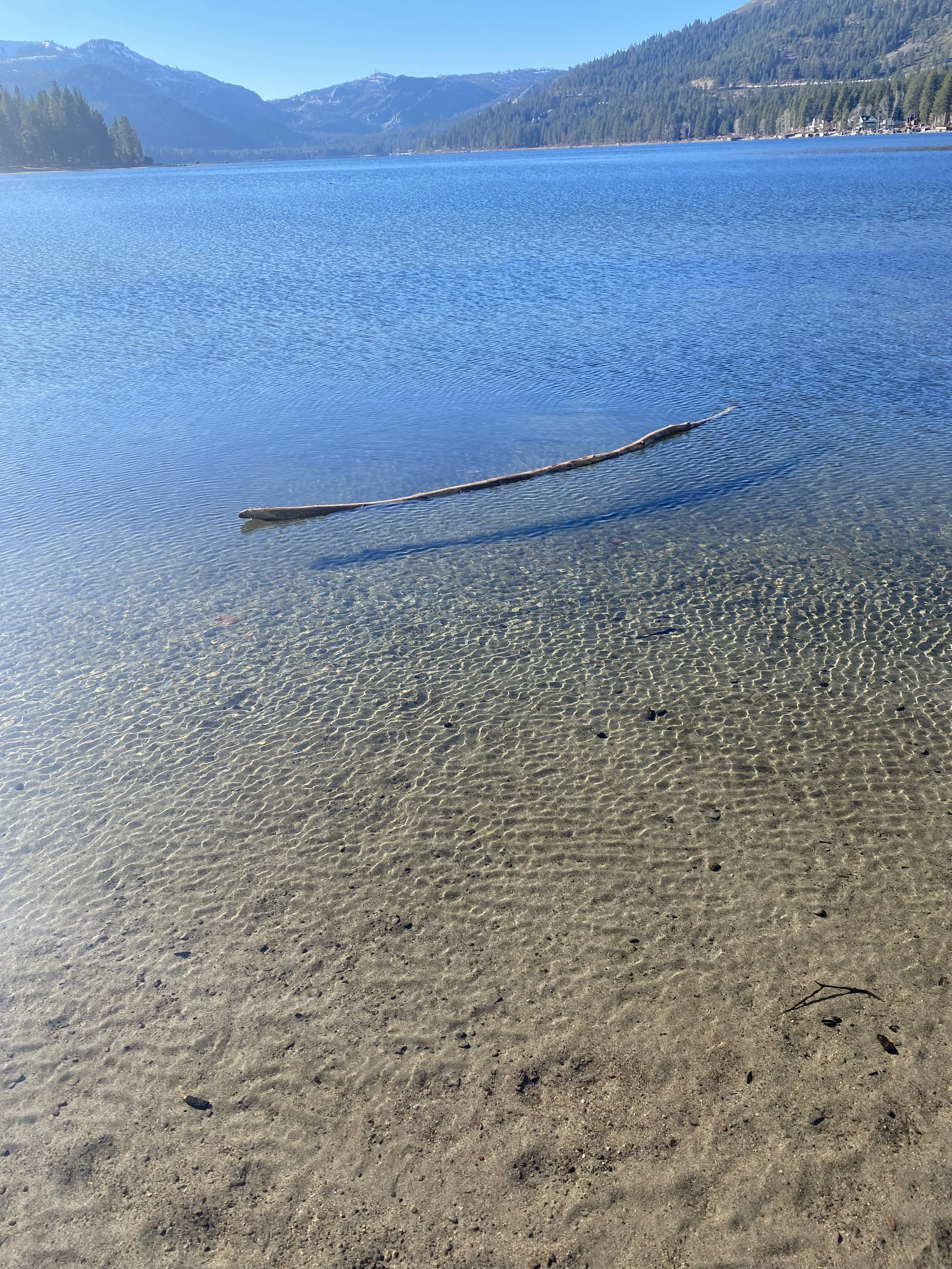 IMG_8896.jpeg
