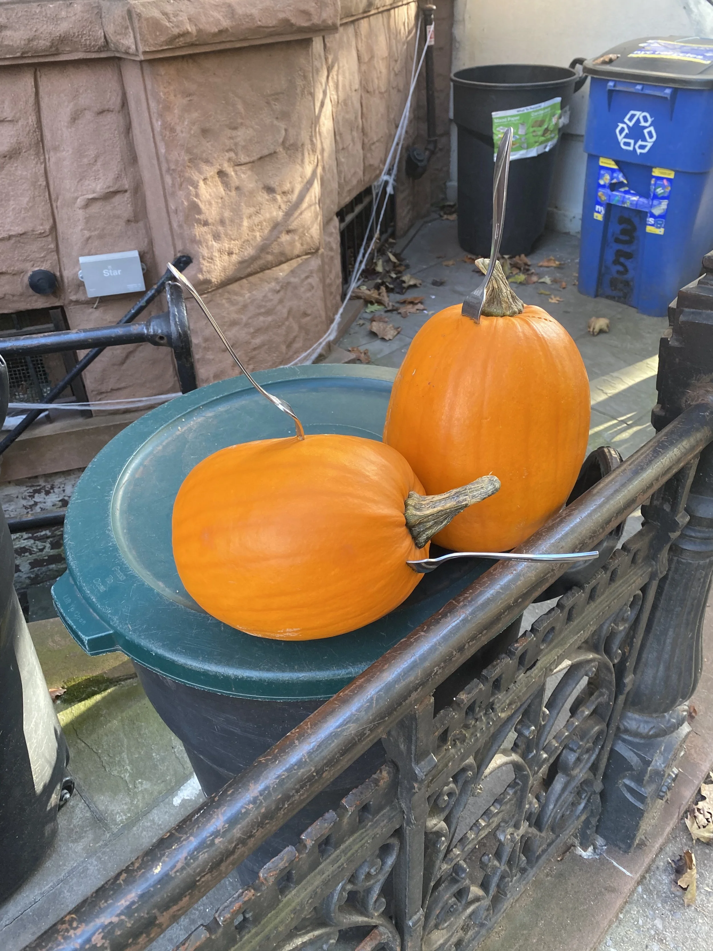 IMG_2713.jpeg