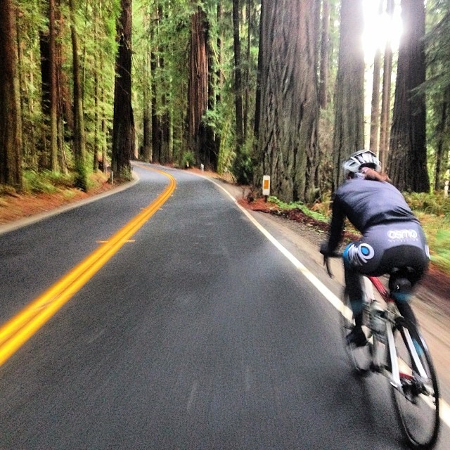 This was taken in the last ten miles of day 1 in the Avenue of the Giants (on the 254, it parallels the 101 but is much more scenic). 