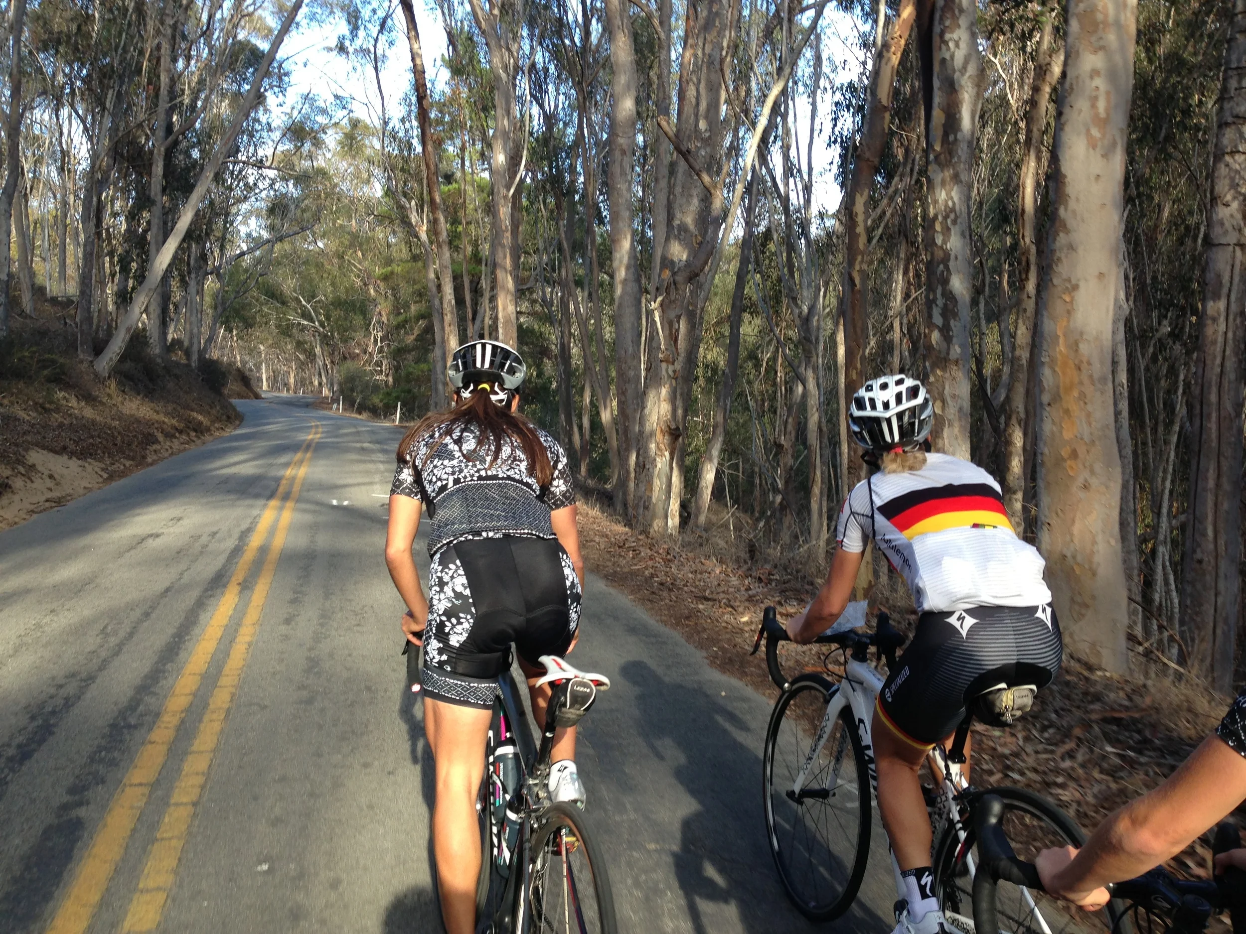 Riding through the eucalyptus trees with Carmen and Trixi.
