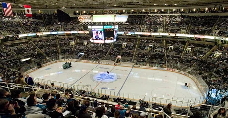 Then they took us to a San Jose Sharks Game! 