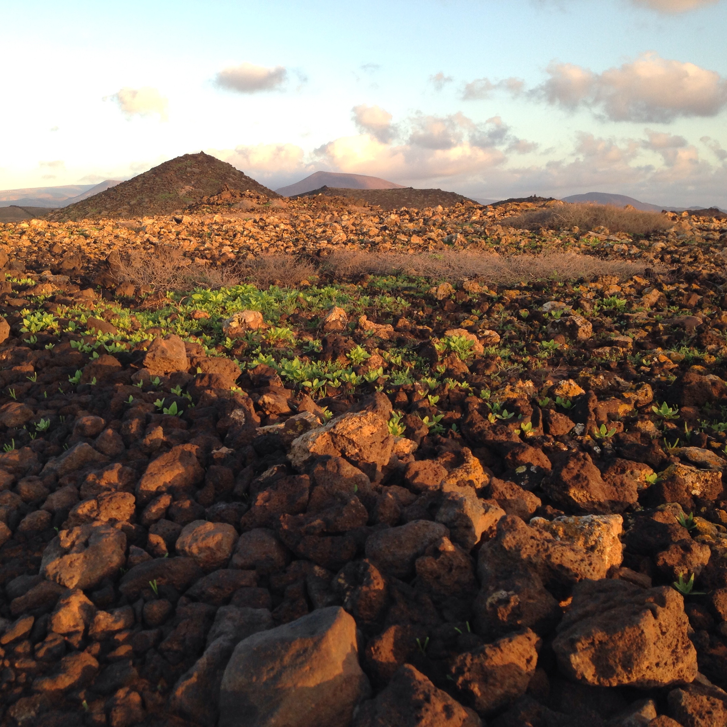 Last morning in Lanzarote, went for a little hike/job with Tiff and Alex. This island has some pretty crazy landscape, I loved it!