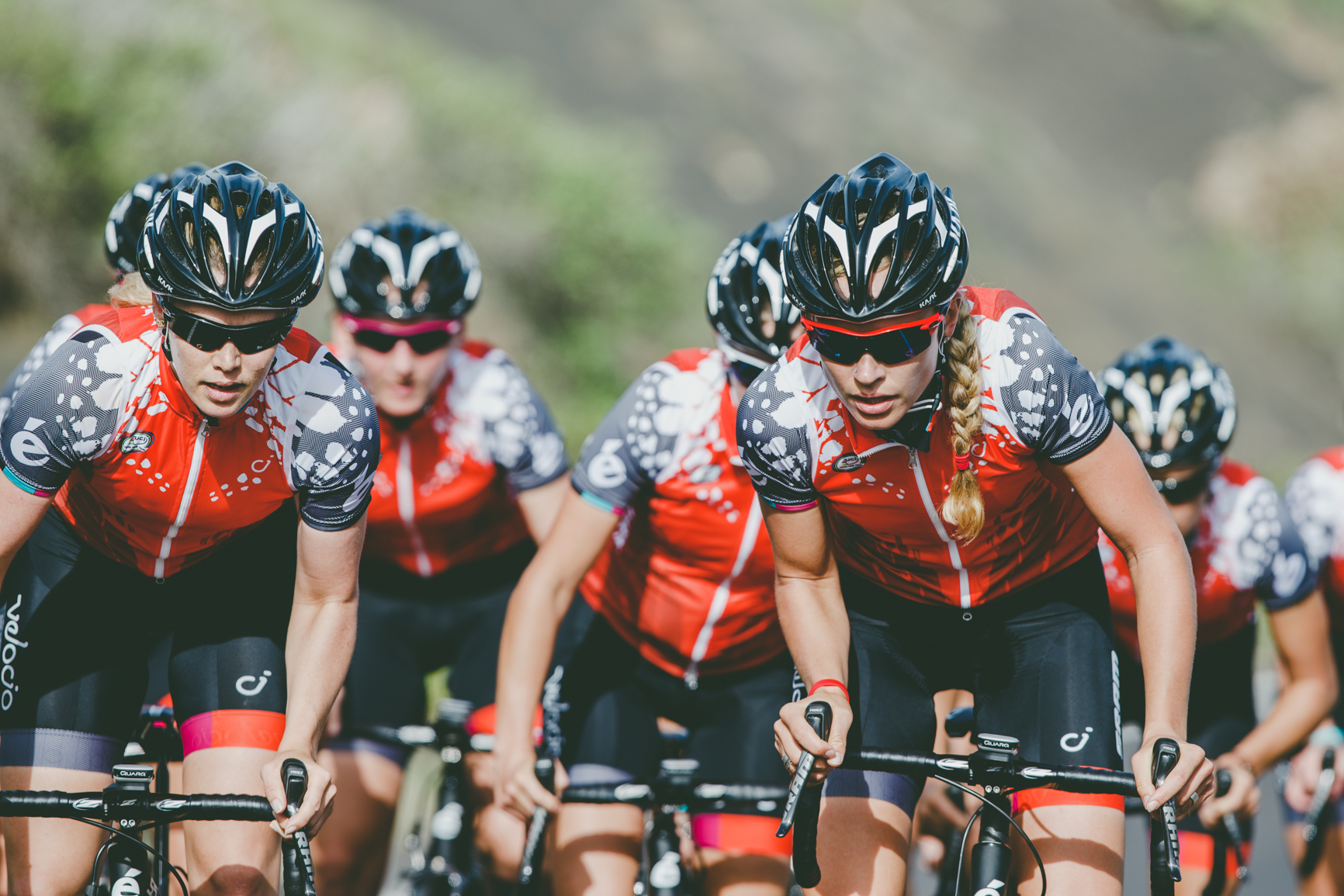 Thats a wrap! Watch out for these fierce butterflies in 2015! :) Photo Credit: Brakethrough Media 
