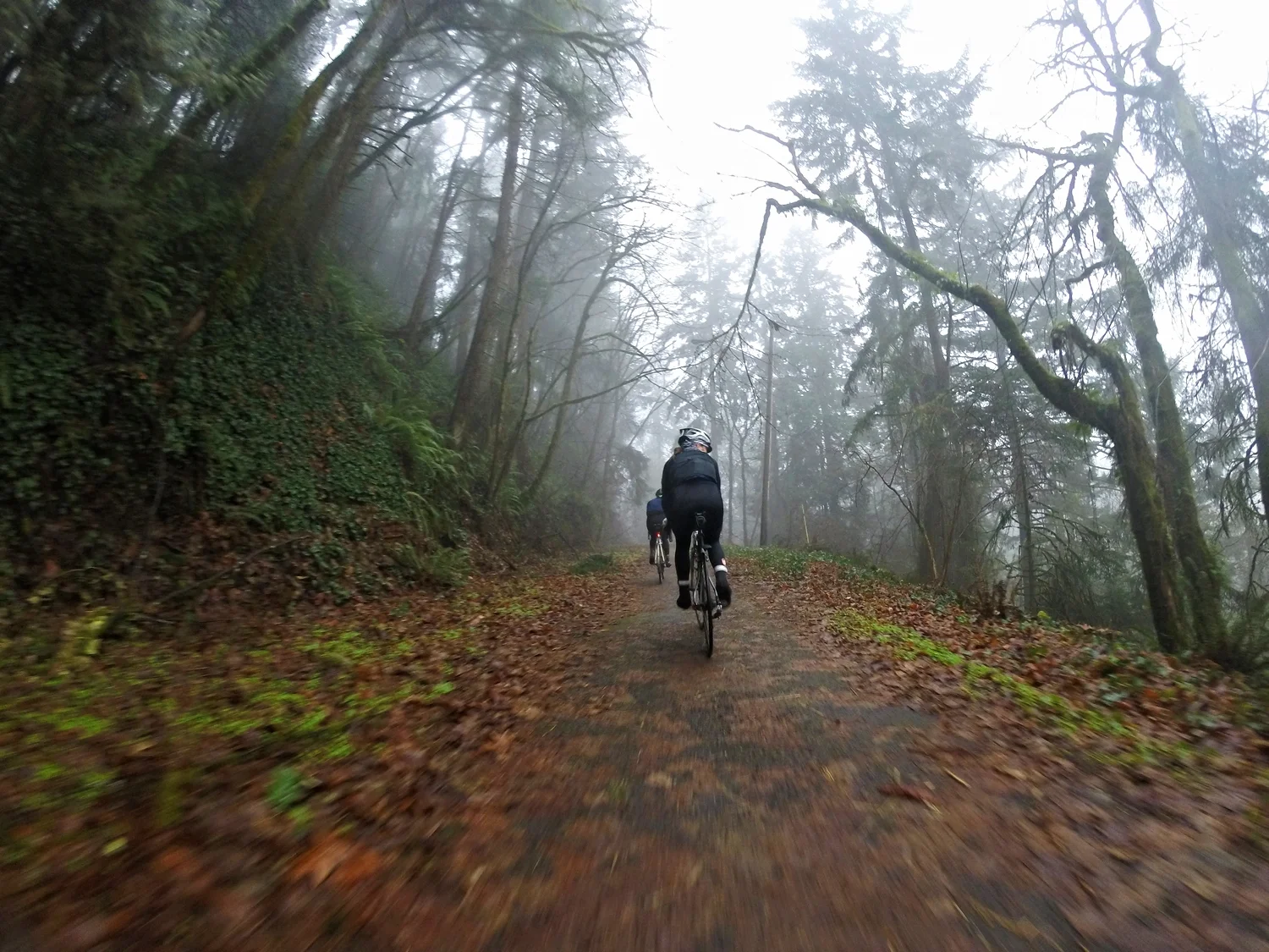 Bike path as we left Portland.