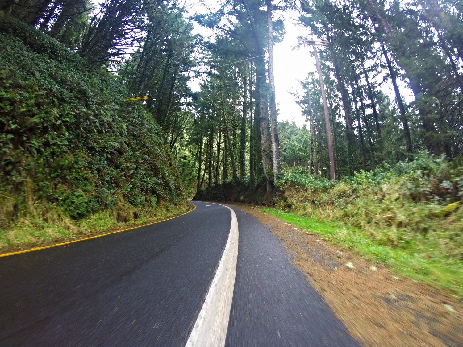 Just out of Depoe Bay there are bike route signs that take you off the 101 to this little gem of a road!