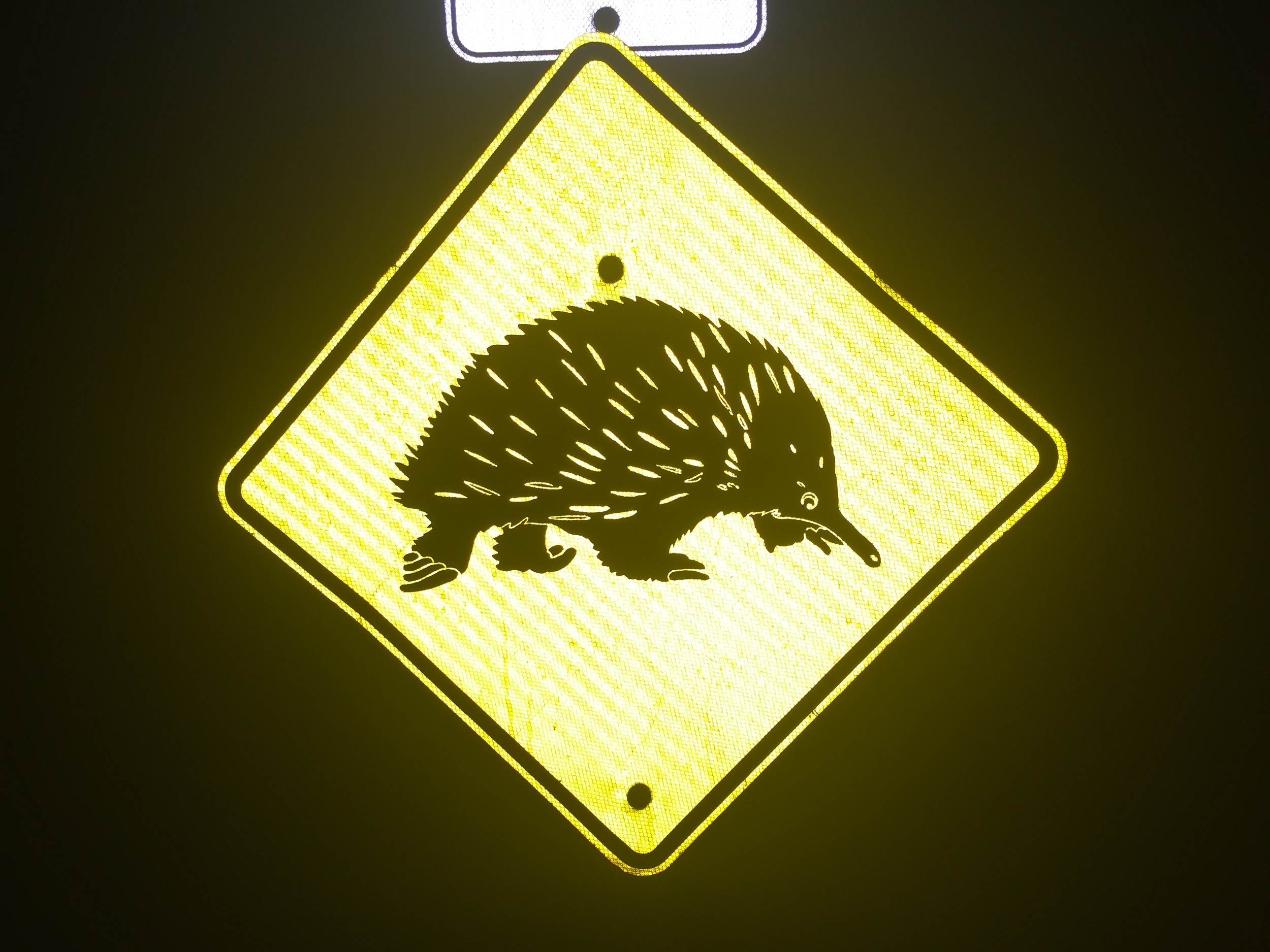 There are so many random wildlife signs! What the heck is this??