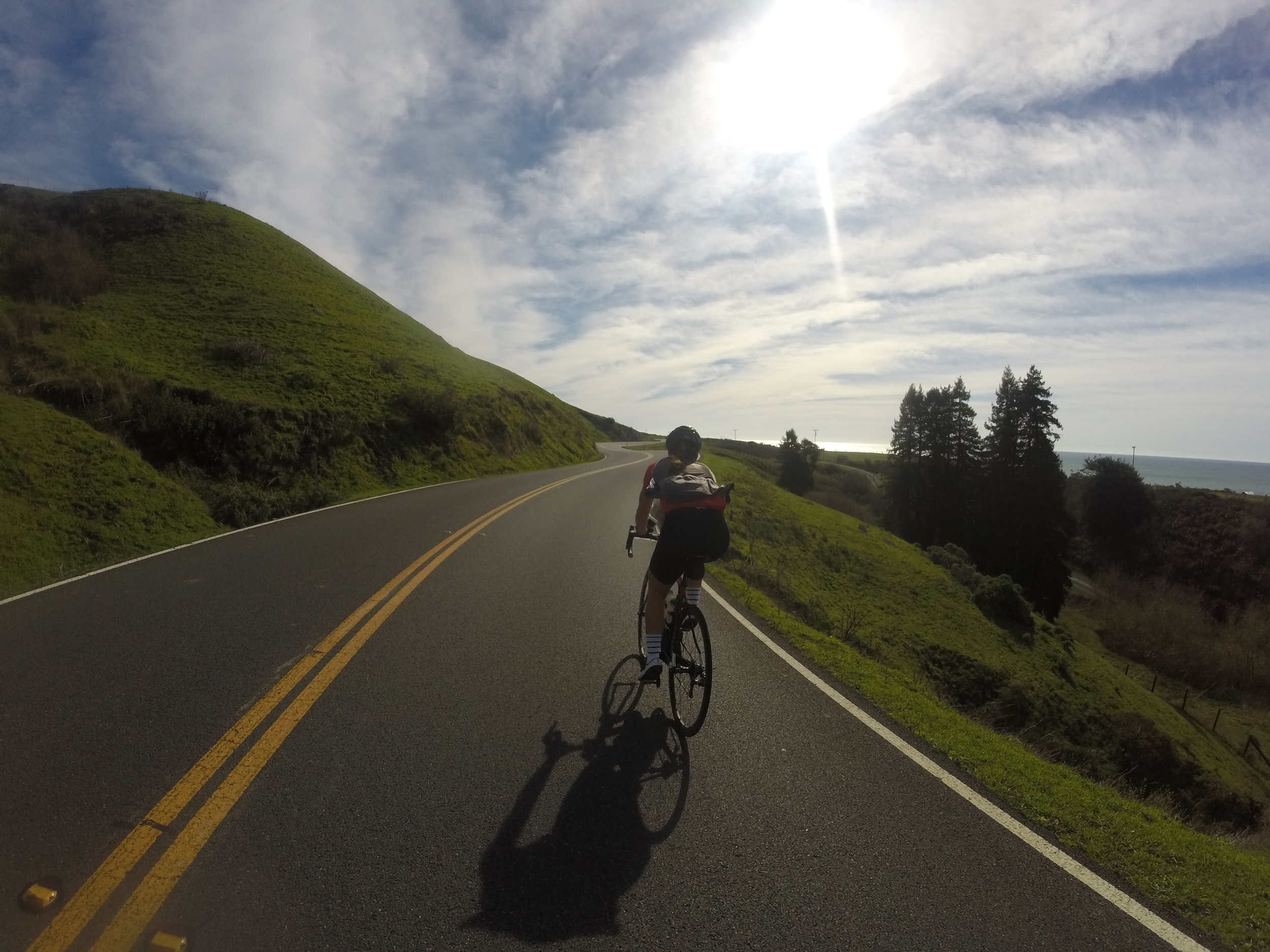 Once you get within 10 miles of Jenner everything turns green, twisty, and incredible! Such a beautiful stretch of road, and all the climbing to get to Jenner is made worth it by the treats and coffee you get to eat at Cafe Aquatica! :) 