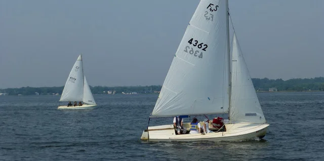 P1000206_short.jpg