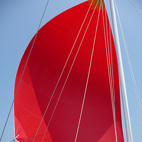 P1050610_squ.jpg