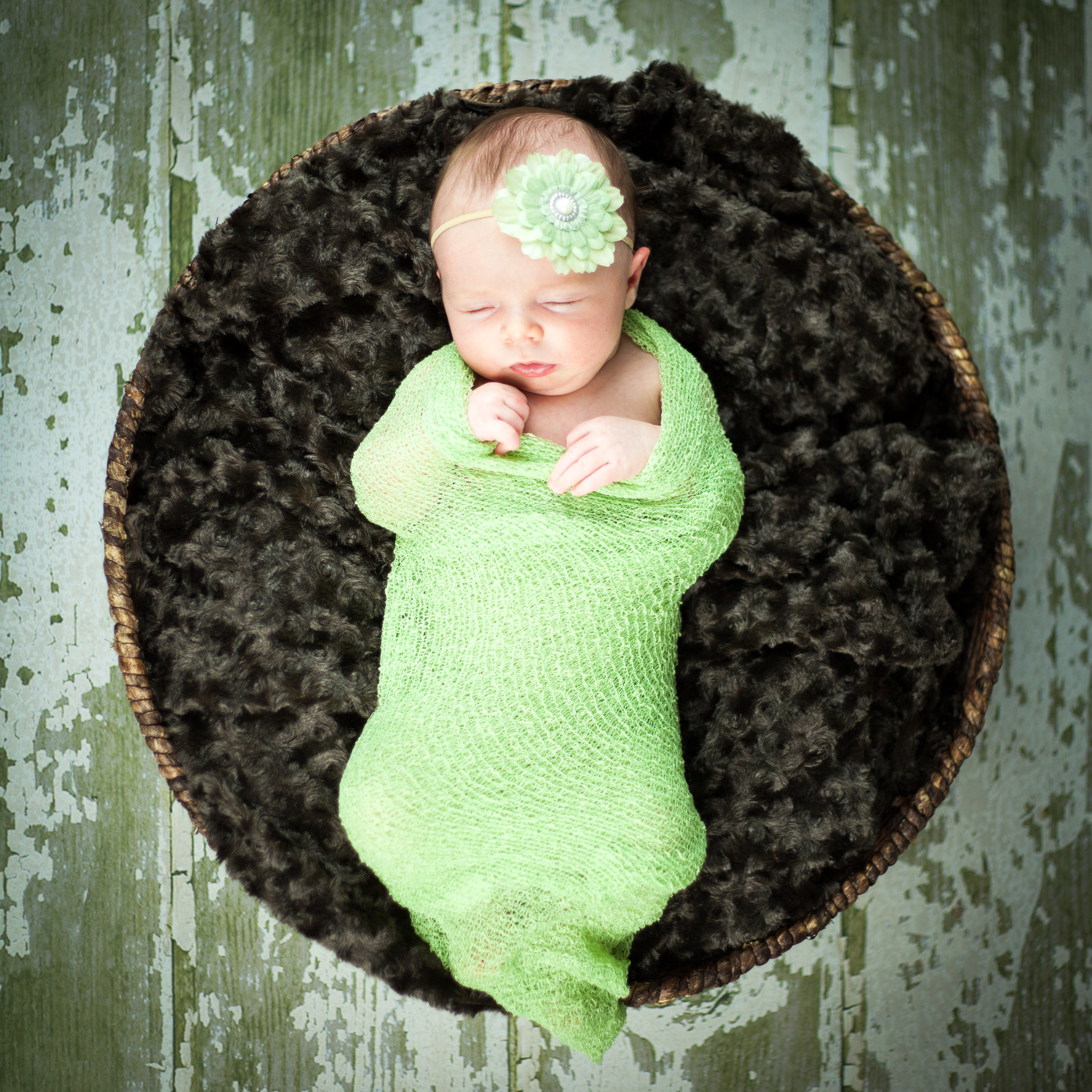 20121110_KP_McCrea_Family_Newborn_3730.jpg