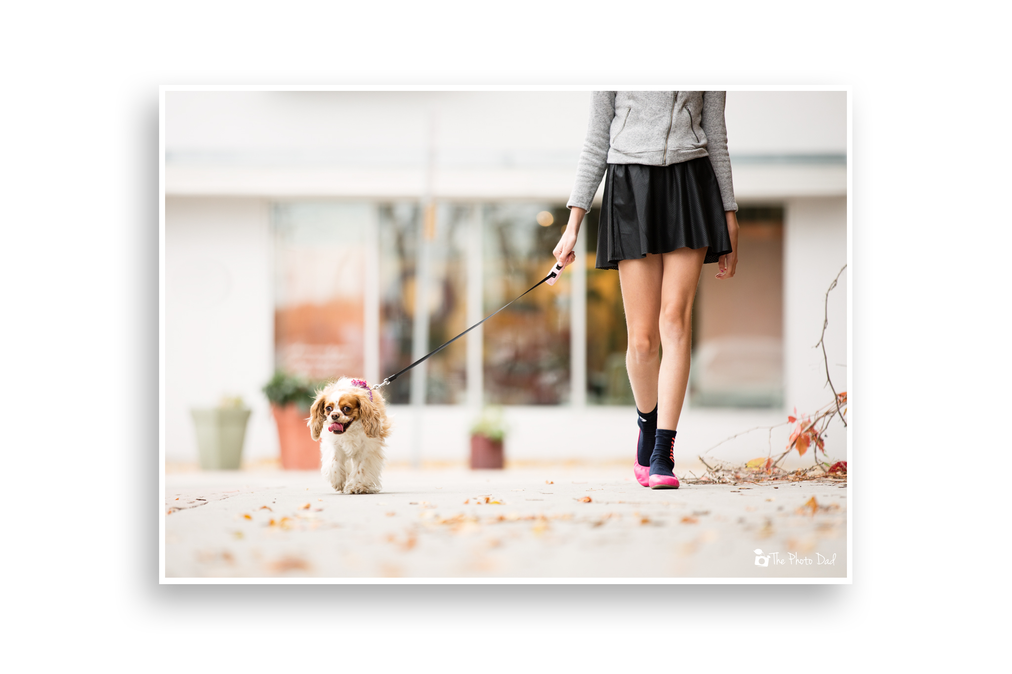 Dog and Girl Taking a Stroll - Fargo, ND Photographer