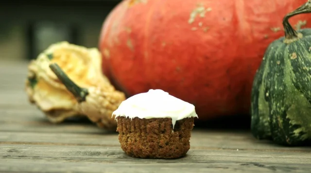 pumpkin-cupcakes.jpg
